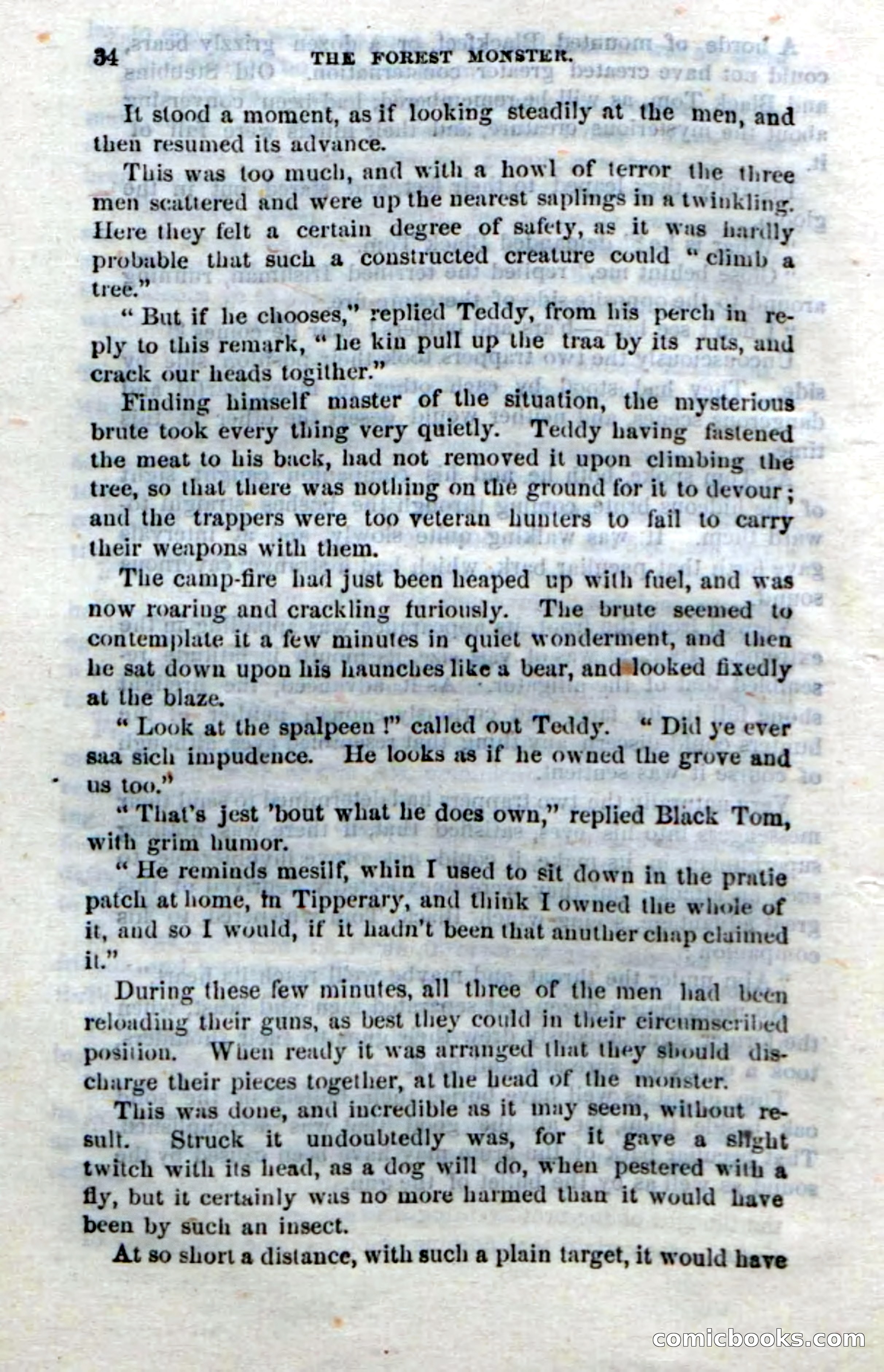 Beadle's Dime Novels No. 214: The Forest Monster — page 32 of 100