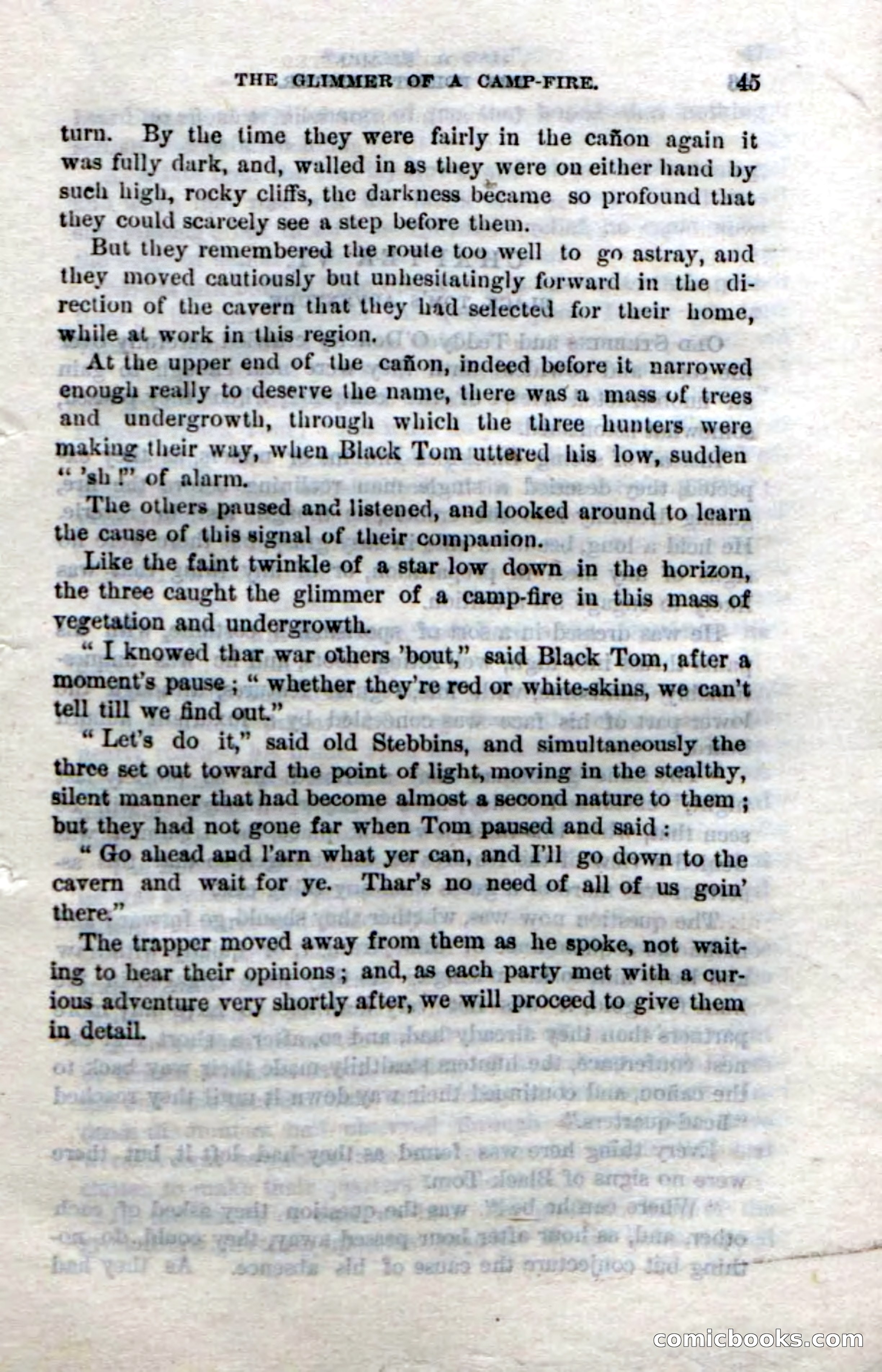 Beadle's Dime Novels No. 214: The Forest Monster — page 43 of 100