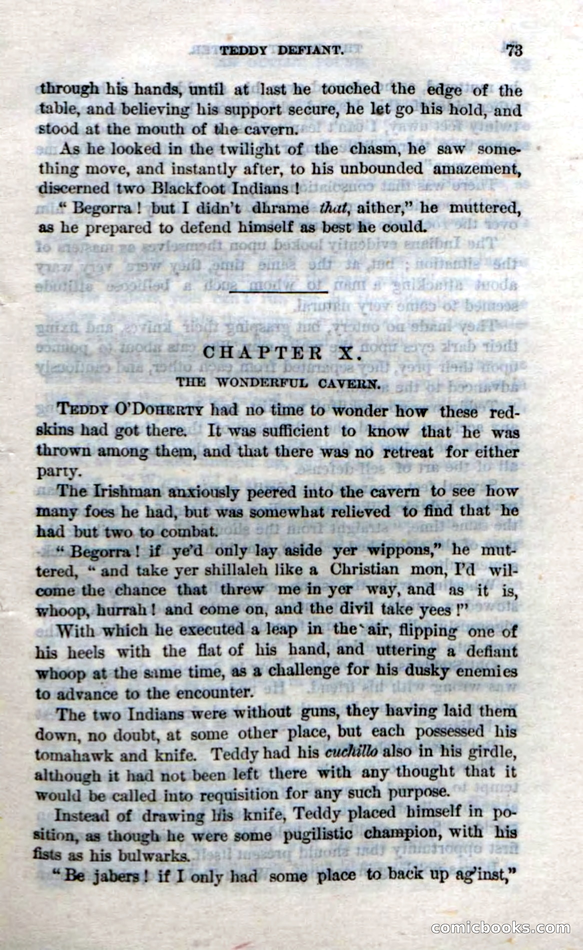 Beadle's Dime Novels No. 214: The Forest Monster — page 71 of 100