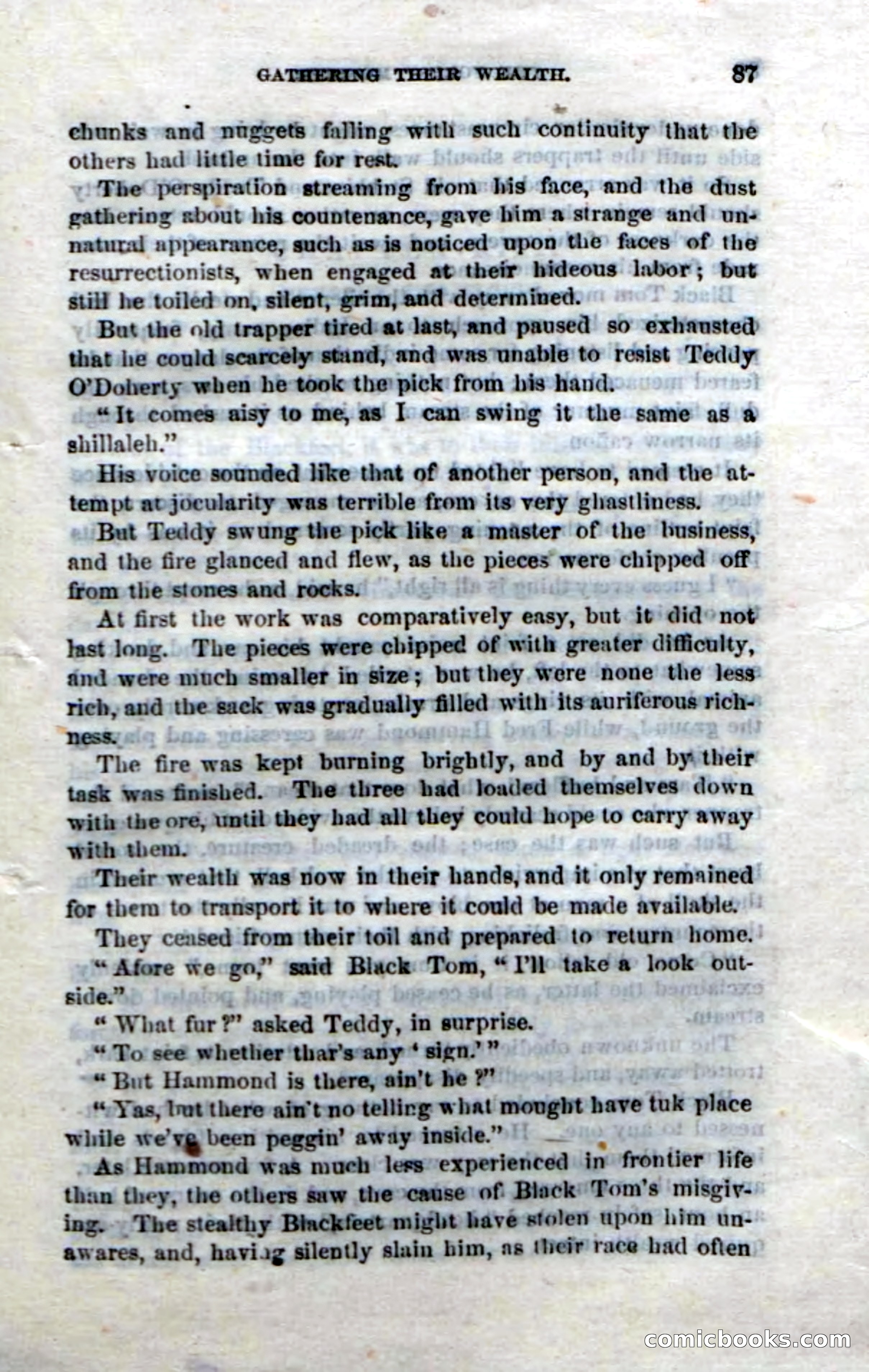 Beadle's Dime Novels No. 214: The Forest Monster — page 85 of 100