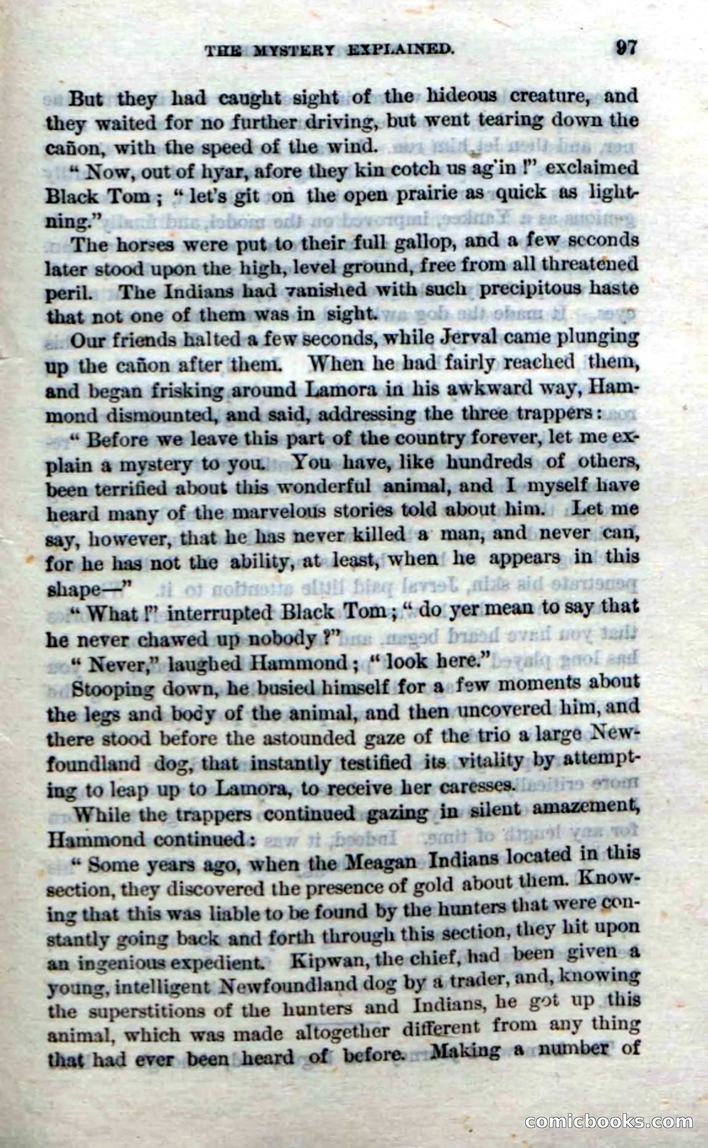 Beadle's Dime Novels No. 214: The Forest Monster — page 95 of 100