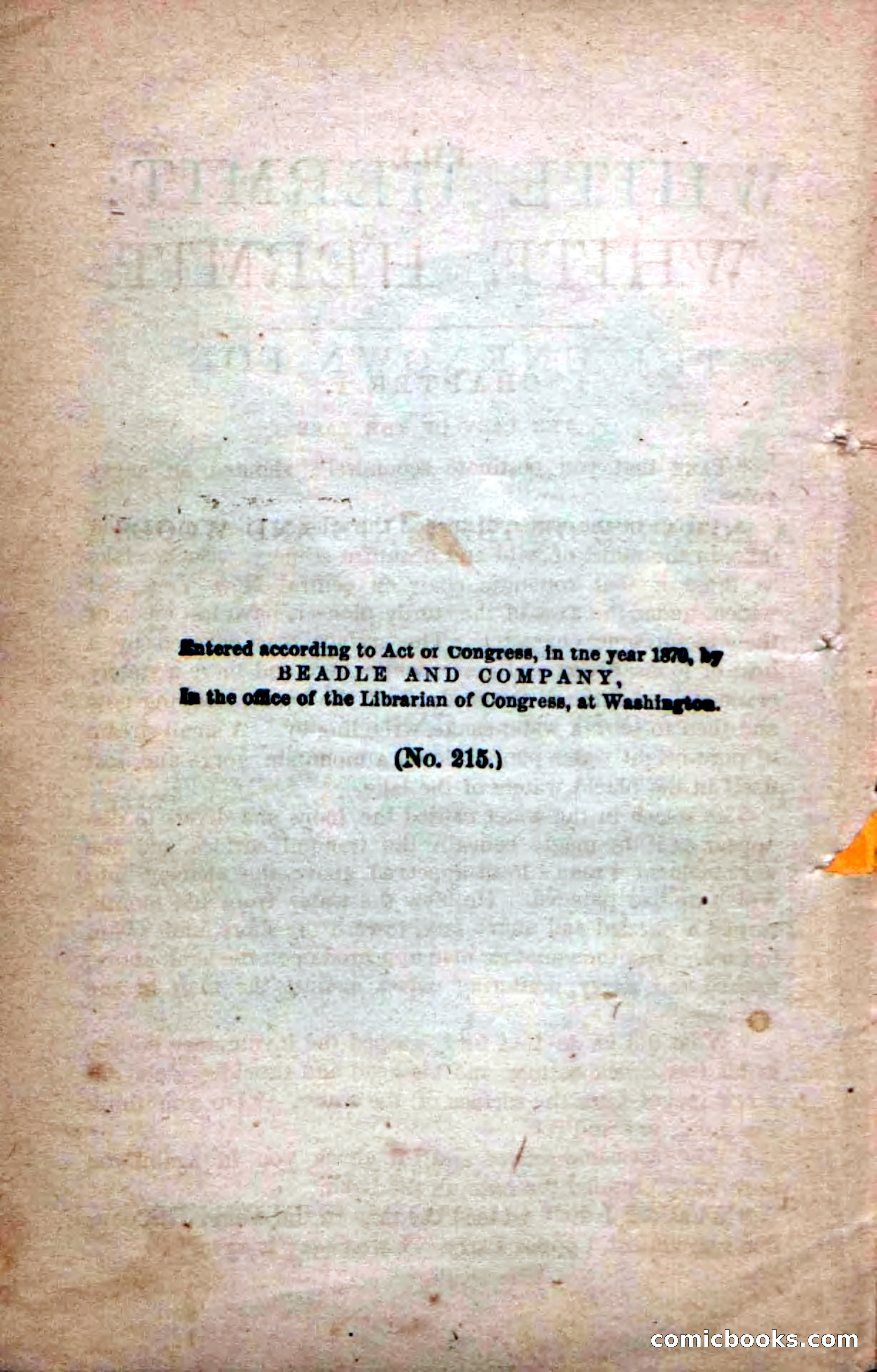 Beadle's Dime Novels No. 215: The White Hermit — page 6 of 98