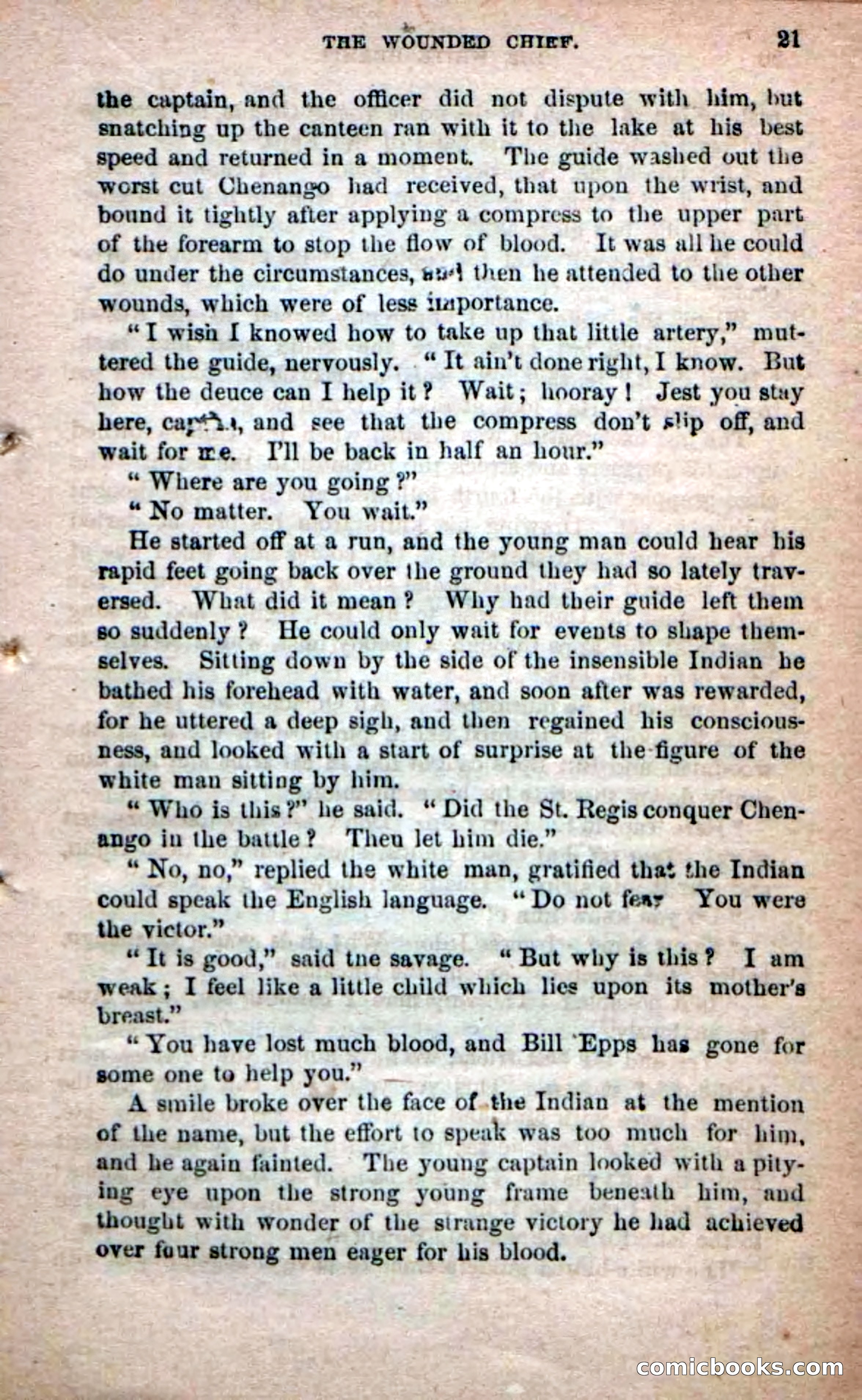 Beadle's Dime Novels No. 215: The White Hermit — page 19 of 98