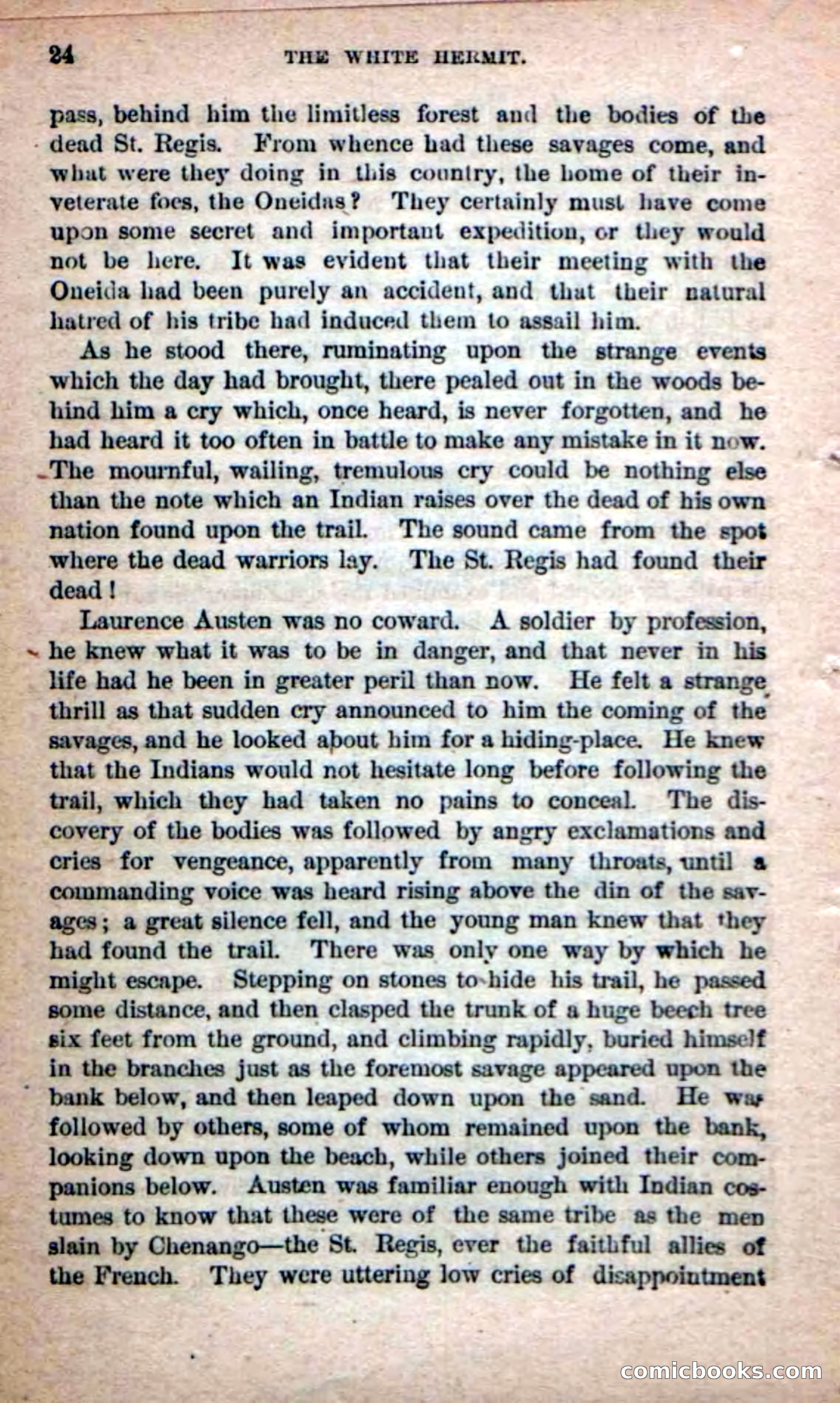 Beadle's Dime Novels No. 215: The White Hermit — page 22 of 98