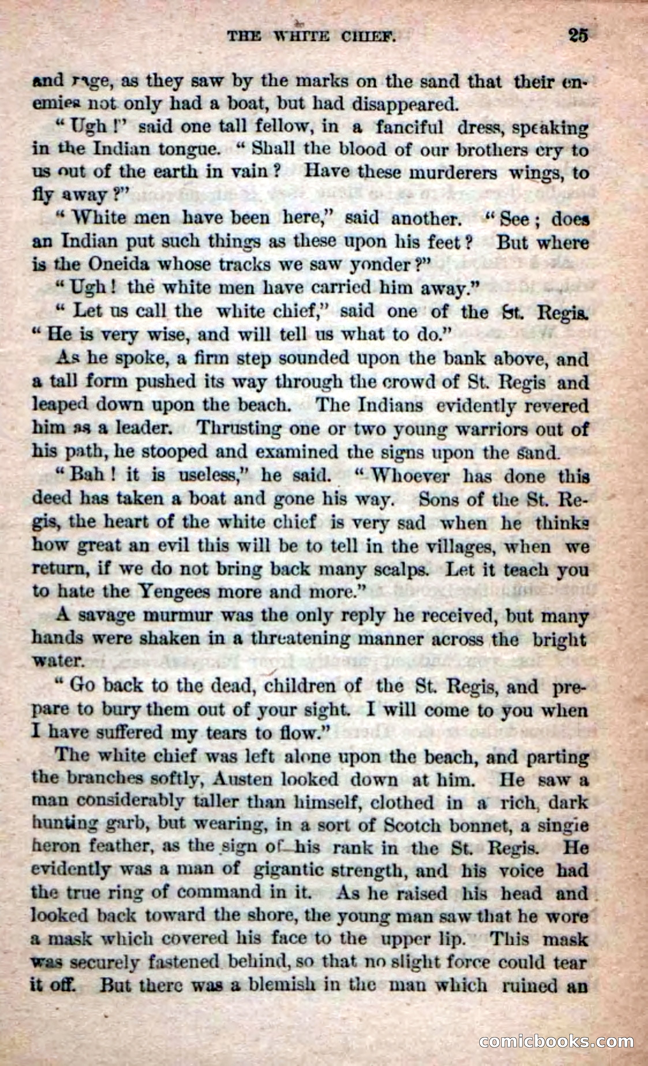 Beadle's Dime Novels No. 215: The White Hermit — page 23 of 98