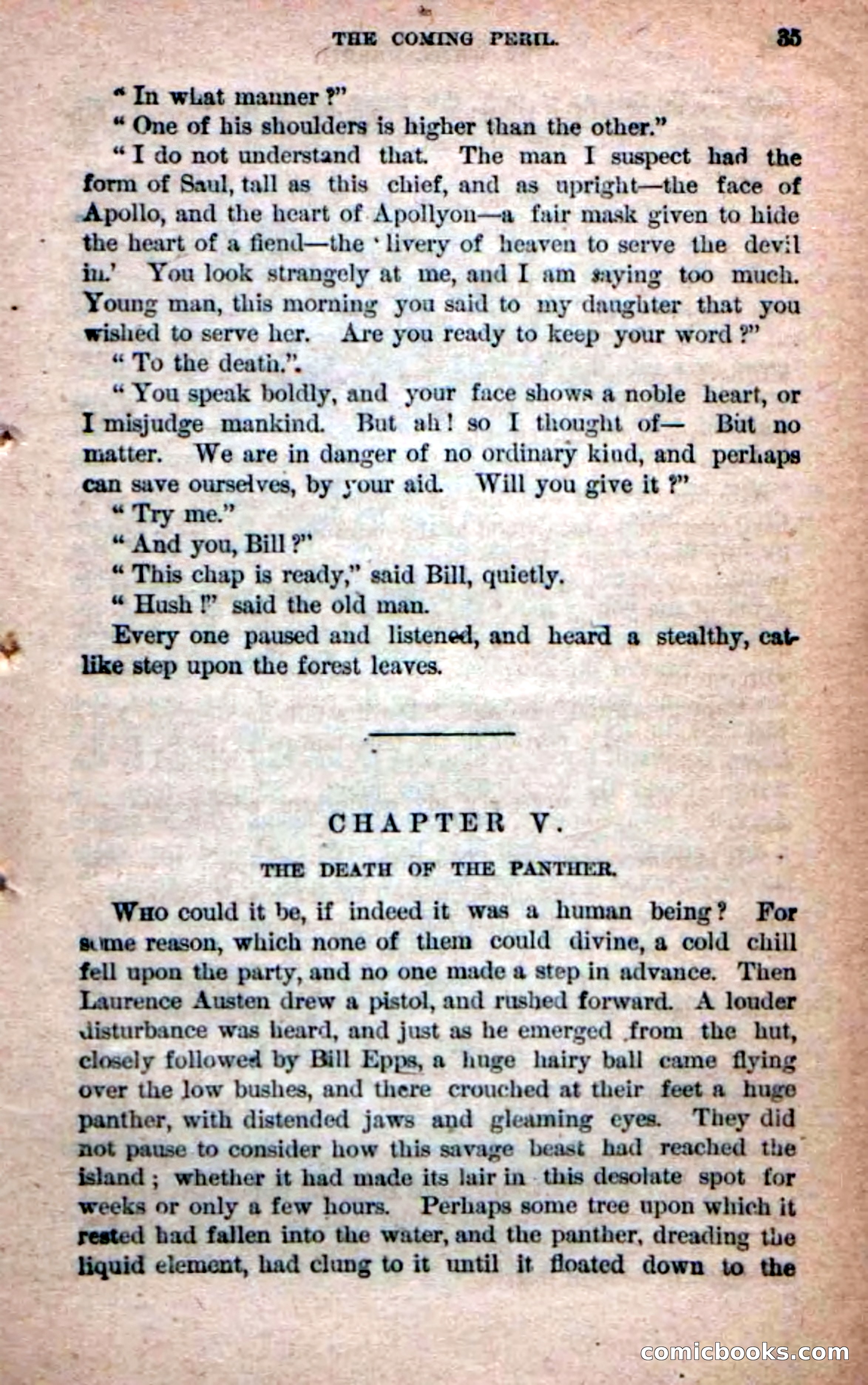 Beadle's Dime Novels No. 215: The White Hermit — page 33 of 98