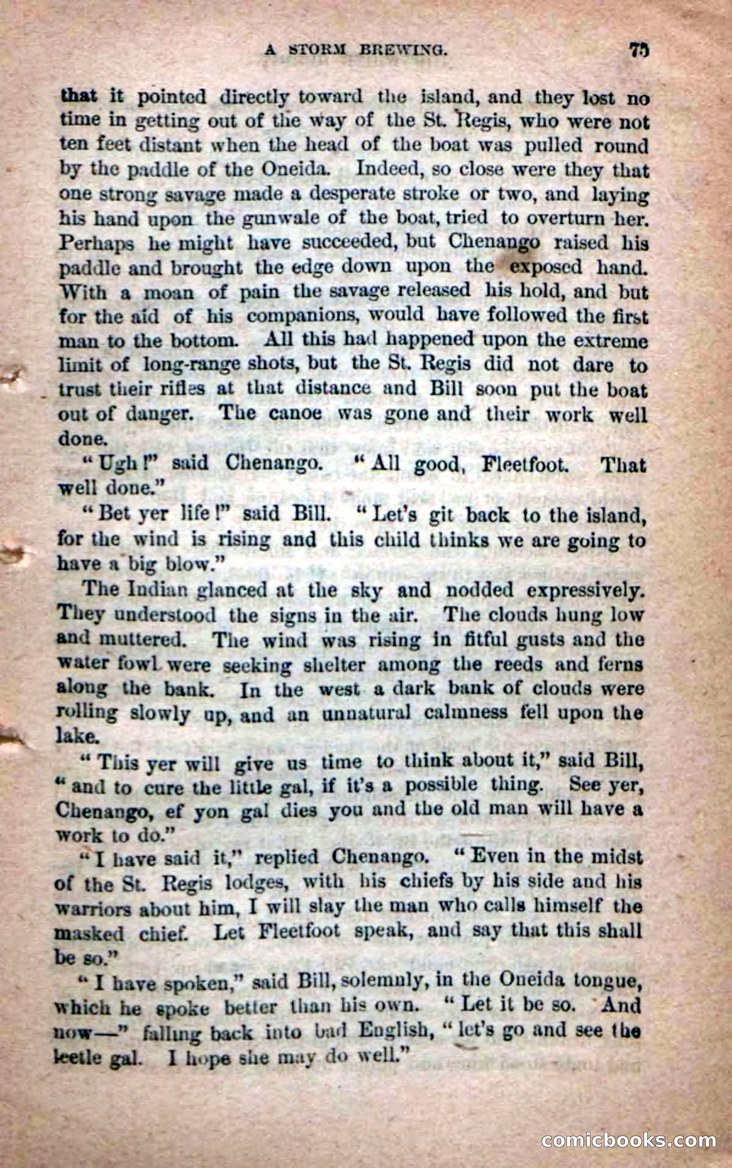 Beadle's Dime Novels No. 215: The White Hermit — page 71 of 98