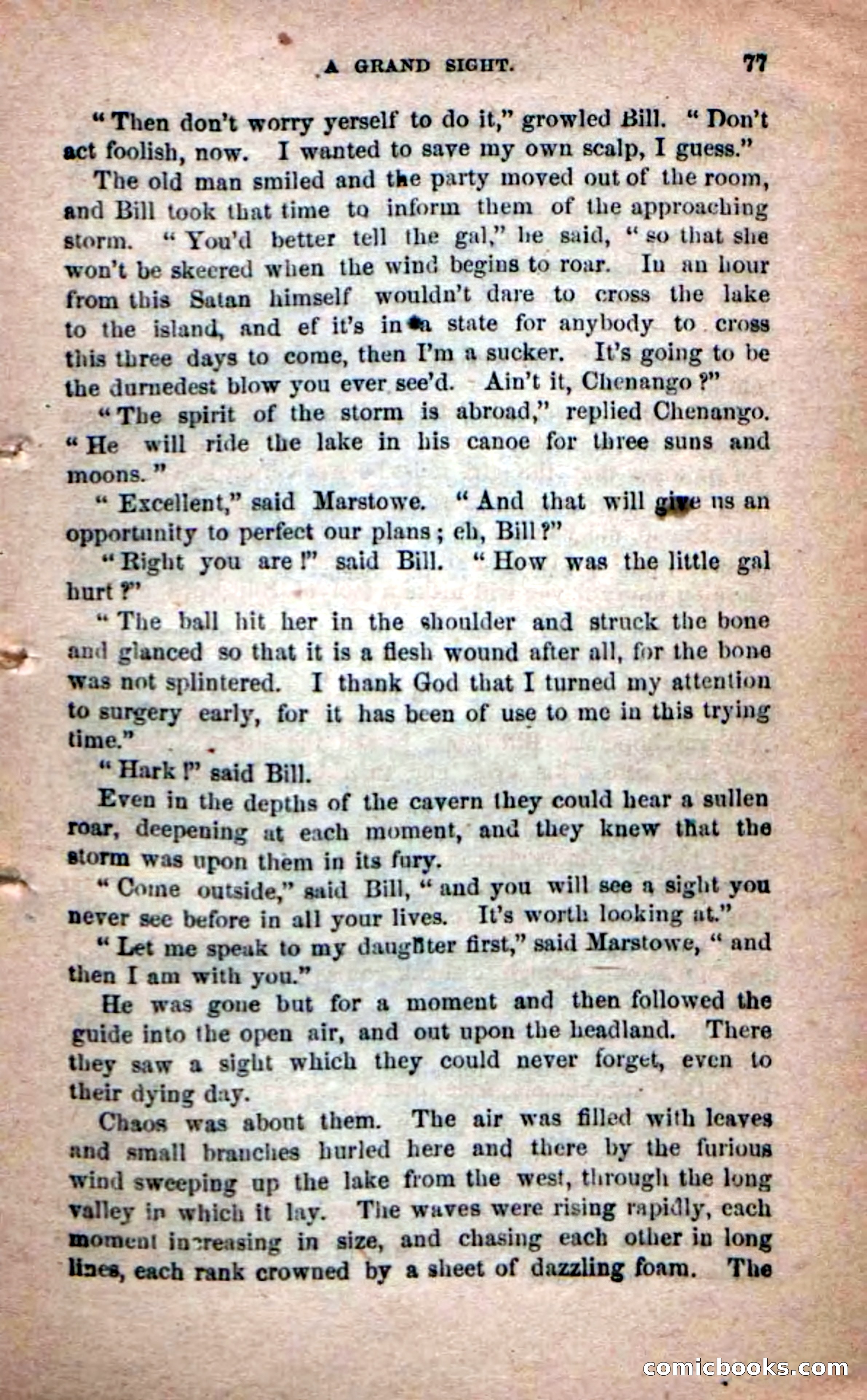 Beadle's Dime Novels No. 215: The White Hermit — page 73 of 98
