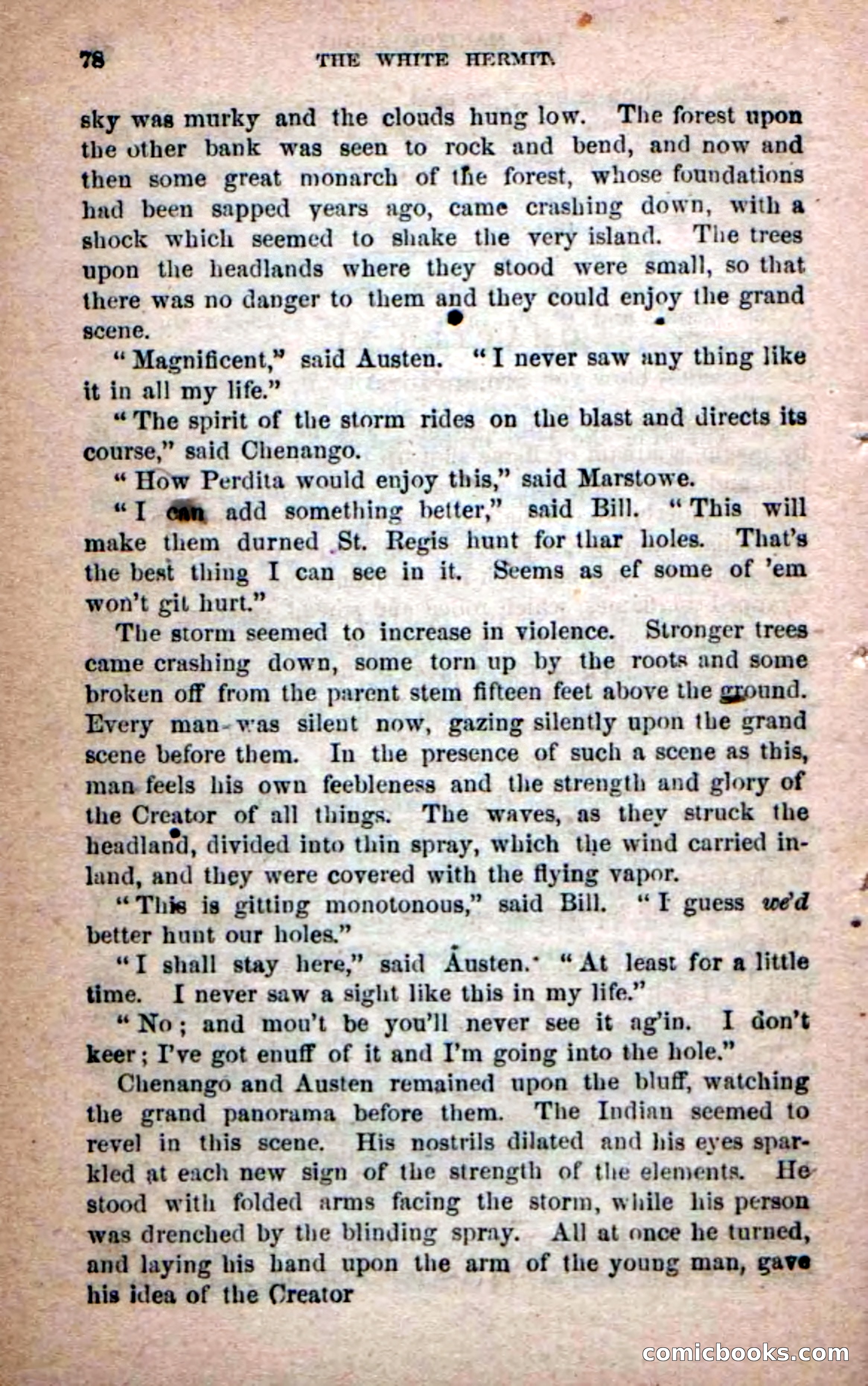 Beadle's Dime Novels No. 215: The White Hermit — page 74 of 98