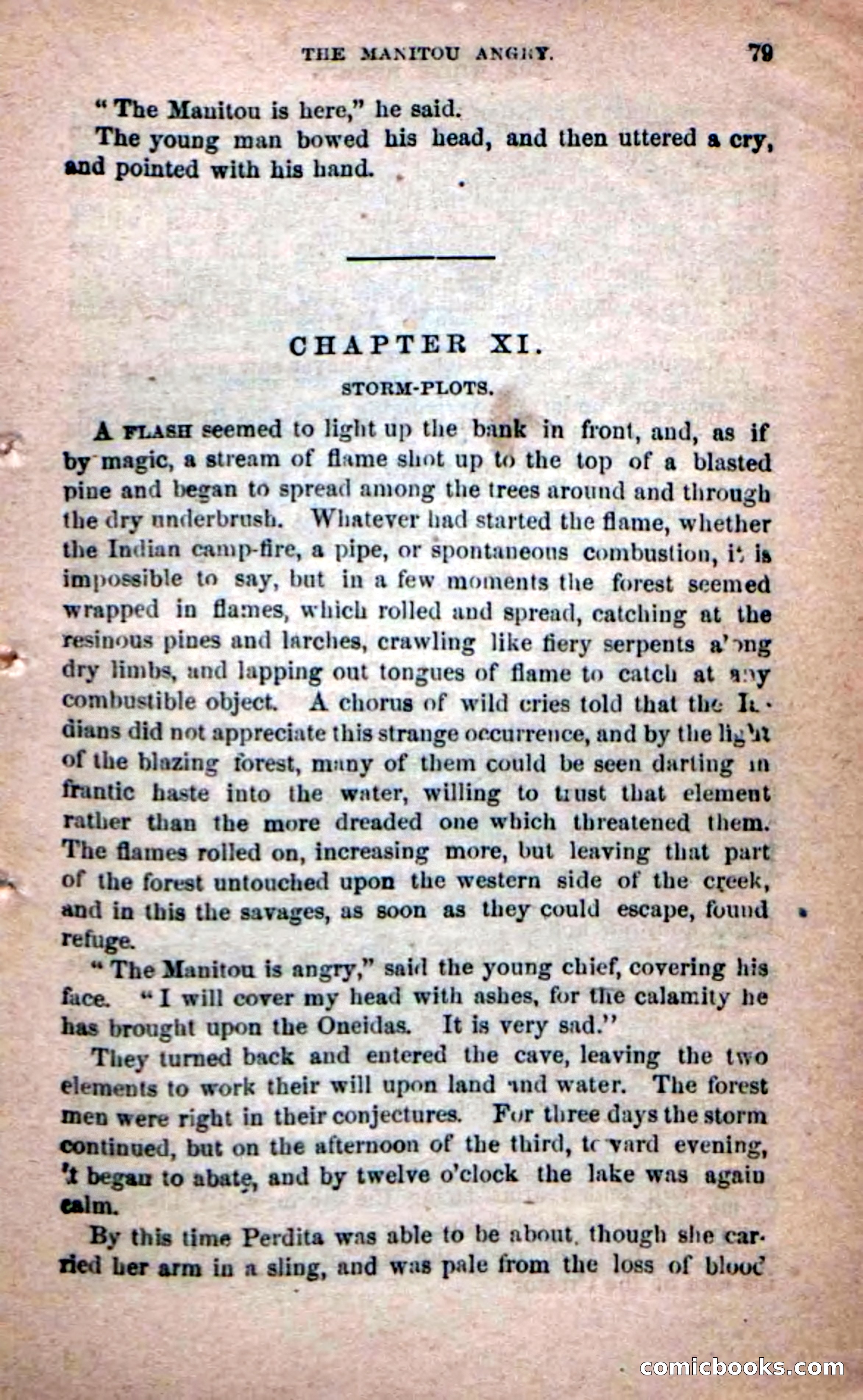 Beadle's Dime Novels No. 215: The White Hermit — page 75 of 98