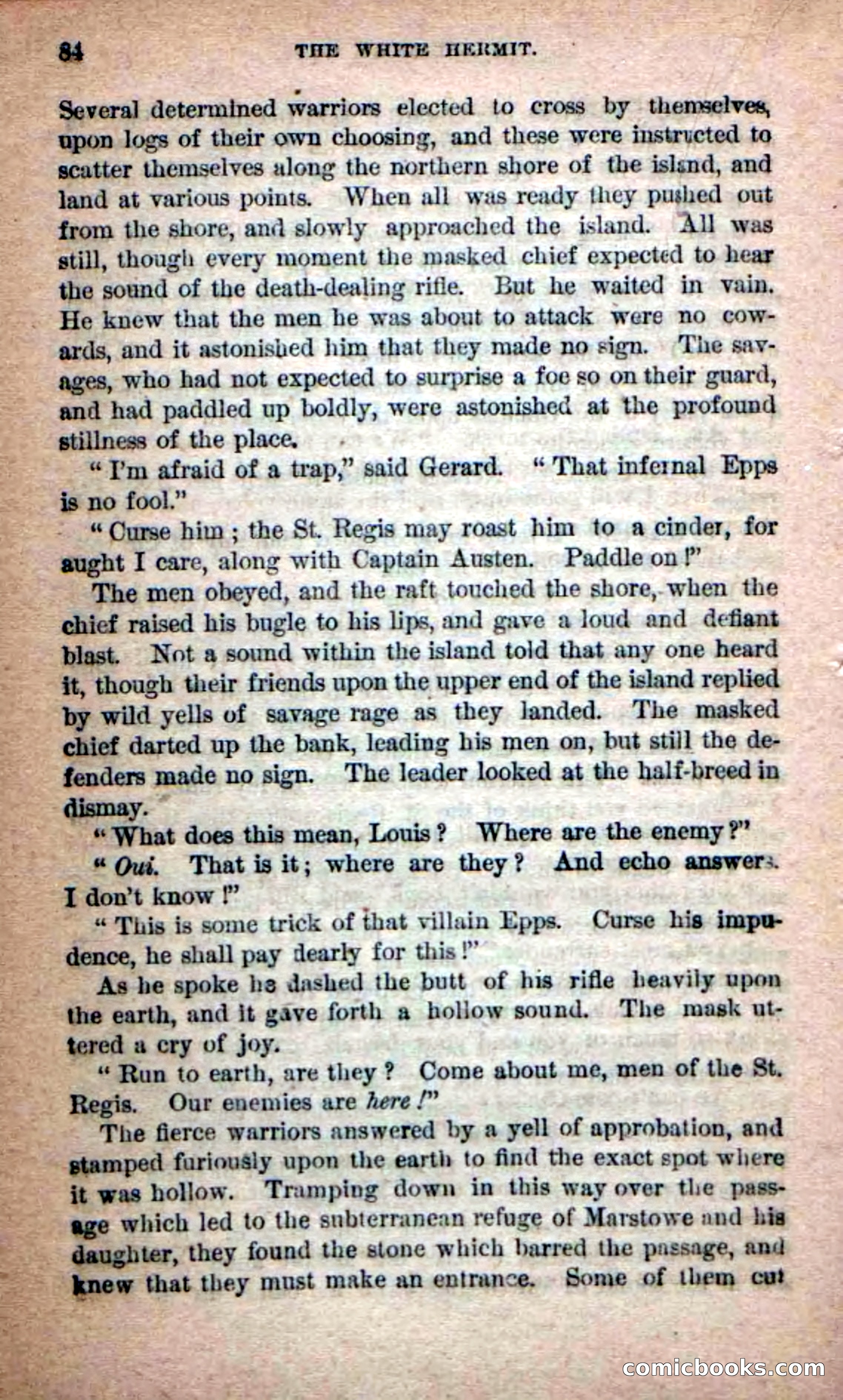 Beadle's Dime Novels No. 215: The White Hermit — page 80 of 98