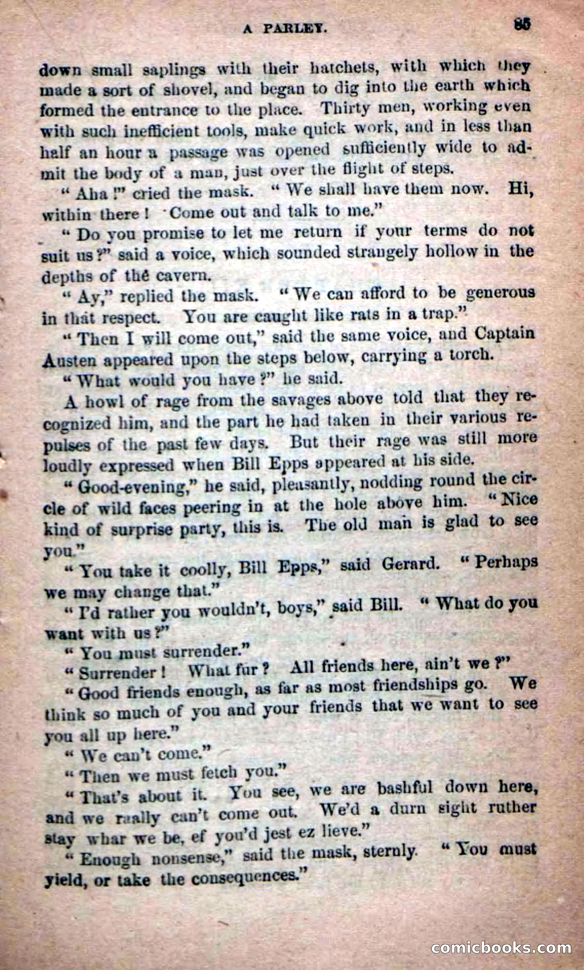 Beadle's Dime Novels No. 215: The White Hermit — page 81 of 98