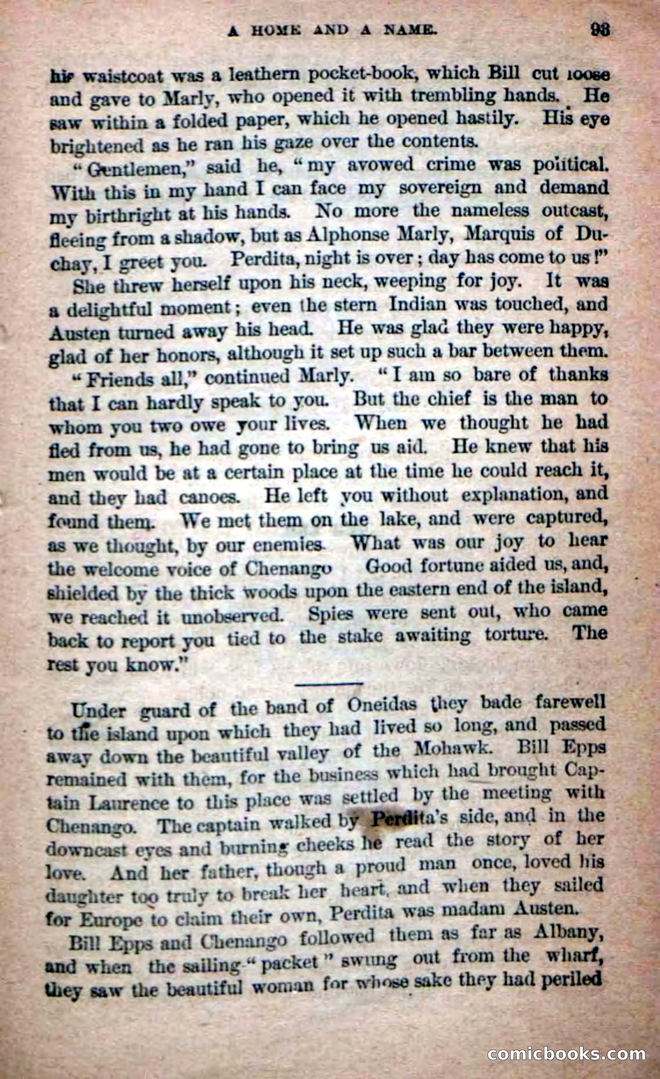 Beadle's Dime Novels No. 215: The White Hermit — page 89 of 98