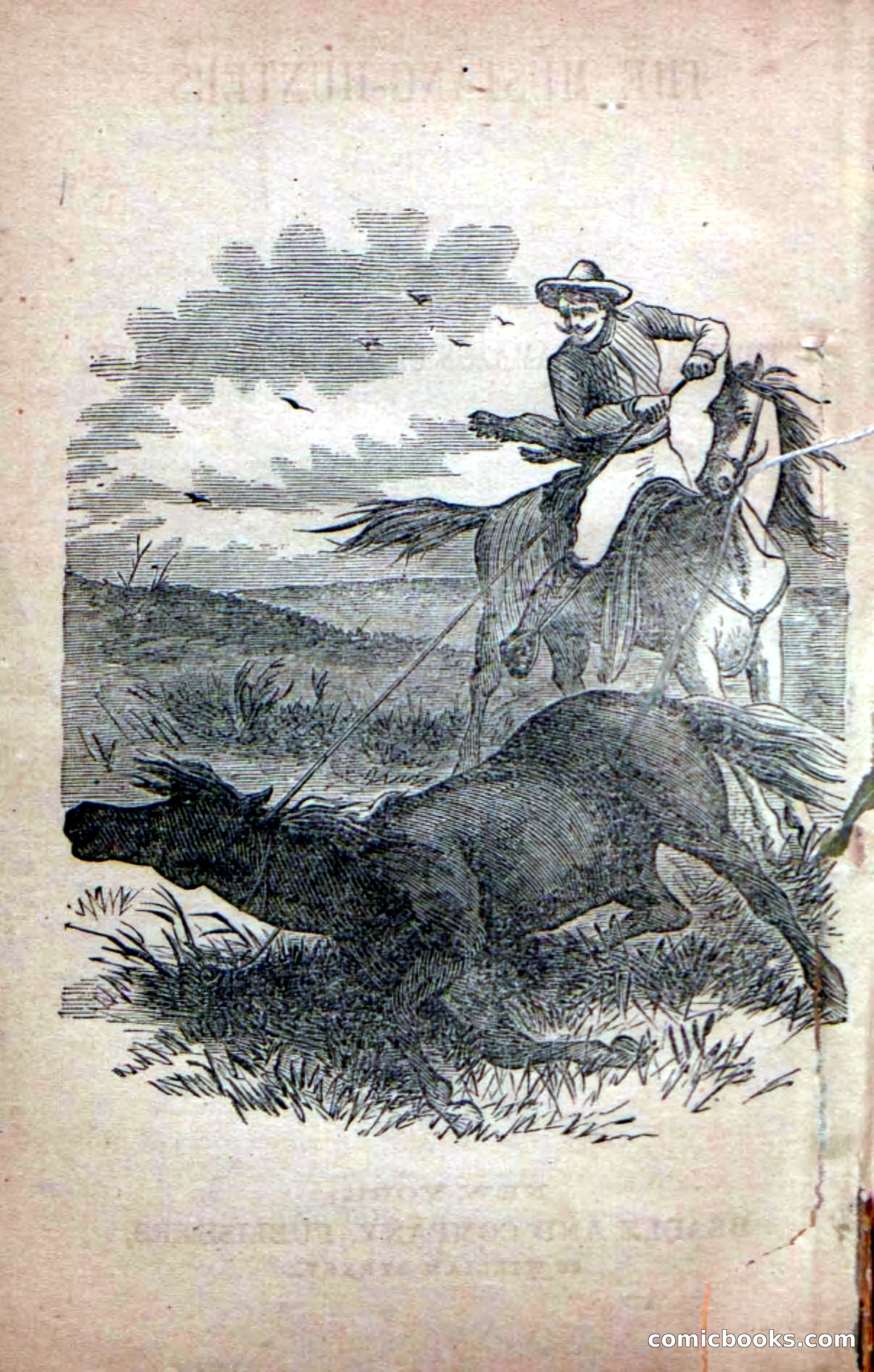 Beadle's Dime Novels No. 226: The Mustang-Hunters — page 4 of 100