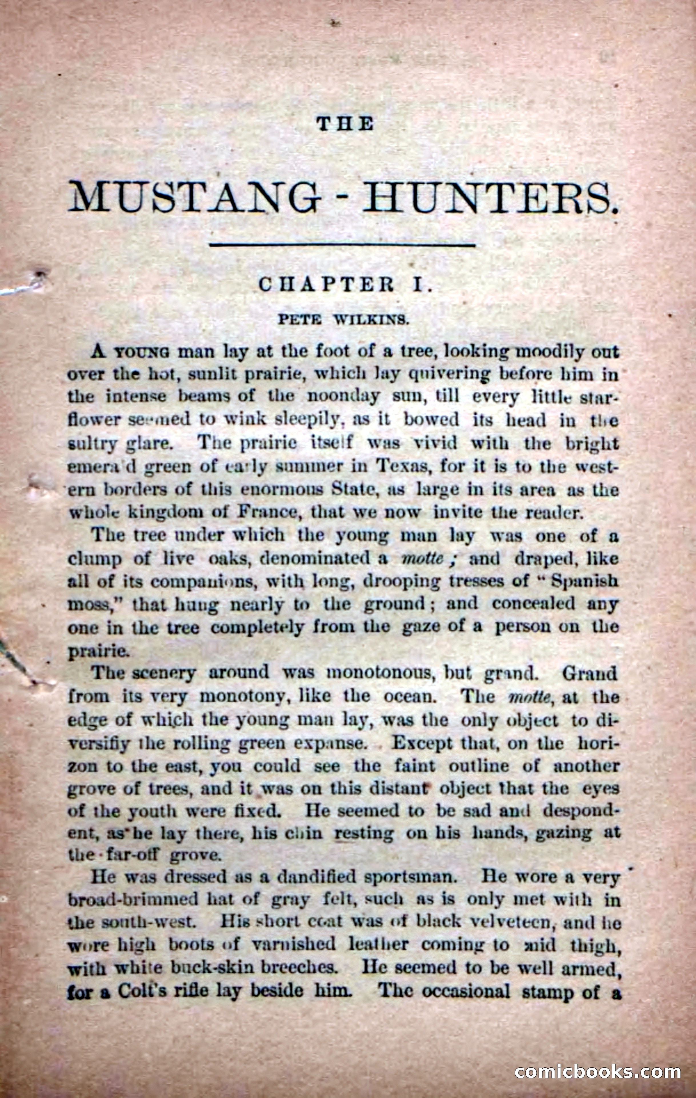 Beadle's Dime Novels No. 226: The Mustang-Hunters — page 7 of 100