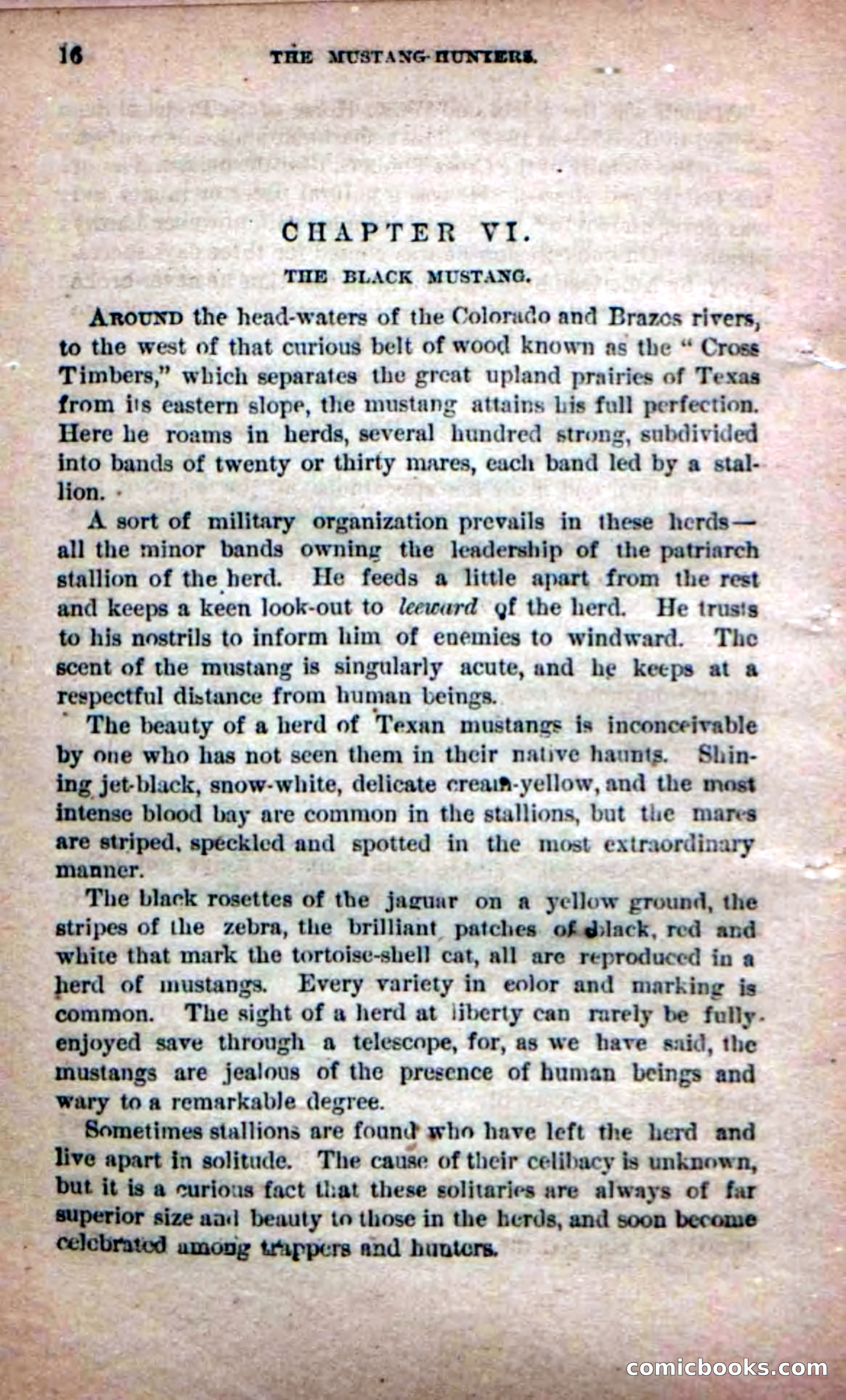 Beadle's Dime Novels No. 226: The Mustang-Hunters — page 14 of 100