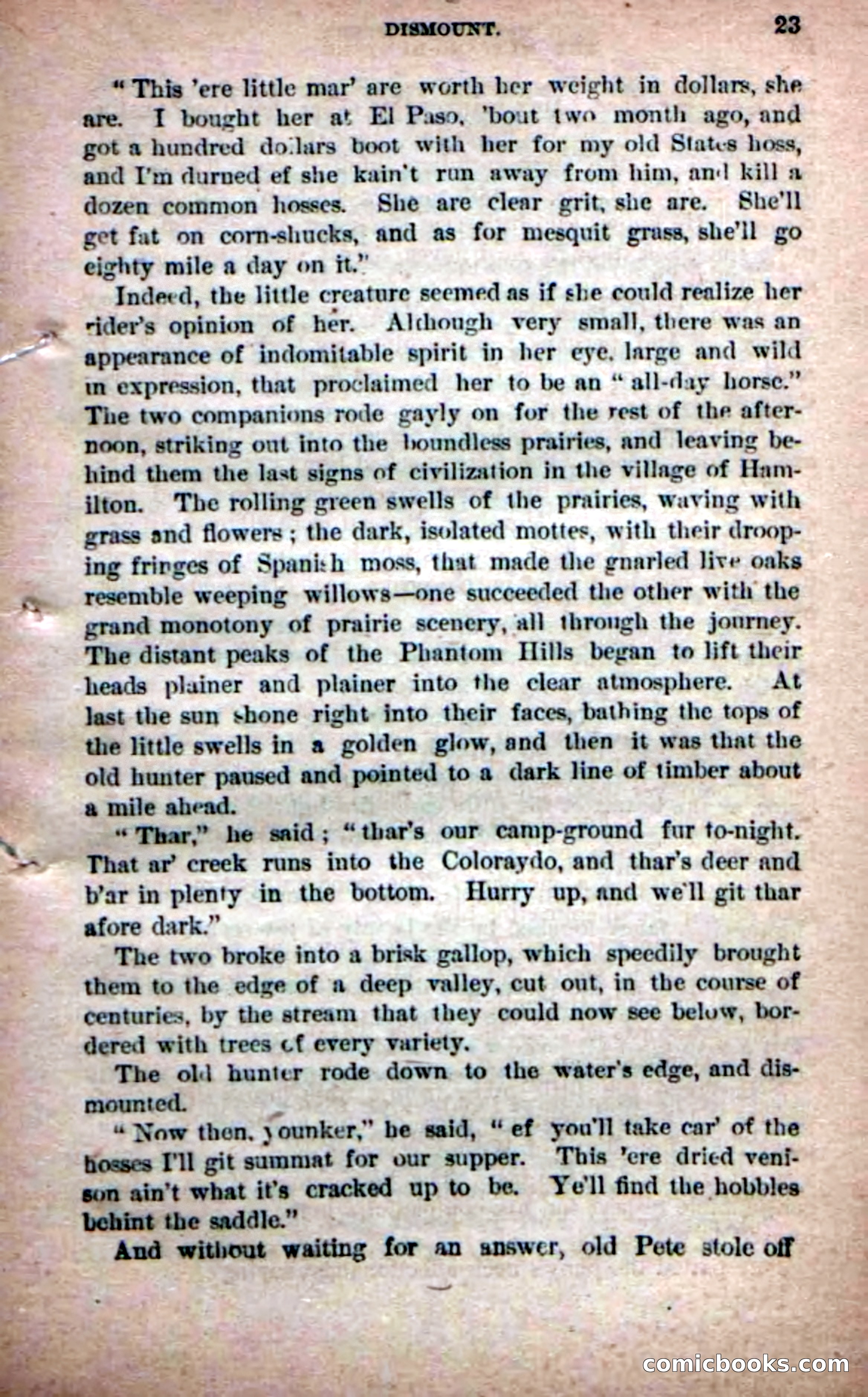 Beadle's Dime Novels No. 226: The Mustang-Hunters — page 21 of 100