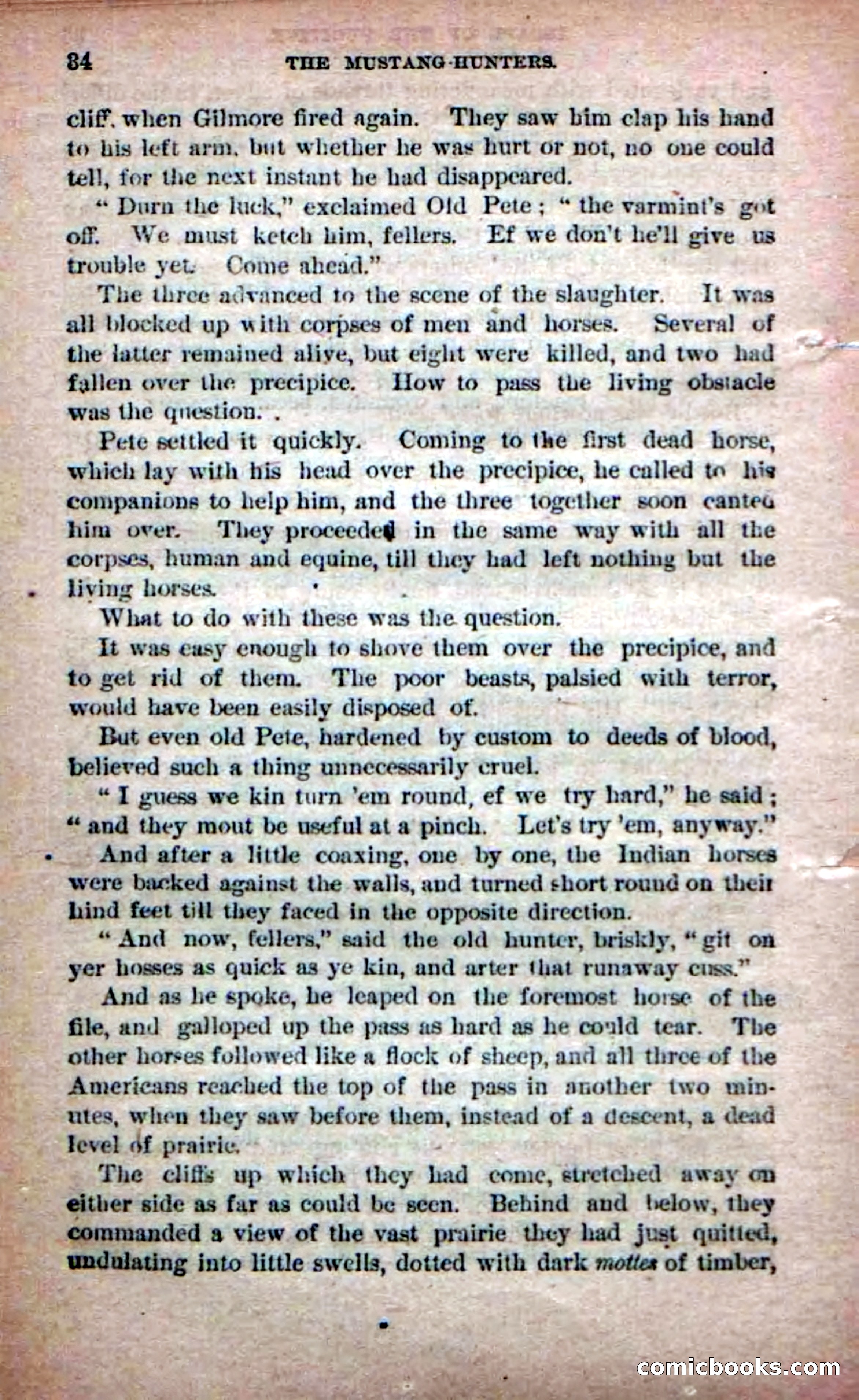 Beadle's Dime Novels No. 226: The Mustang-Hunters — page 32 of 100