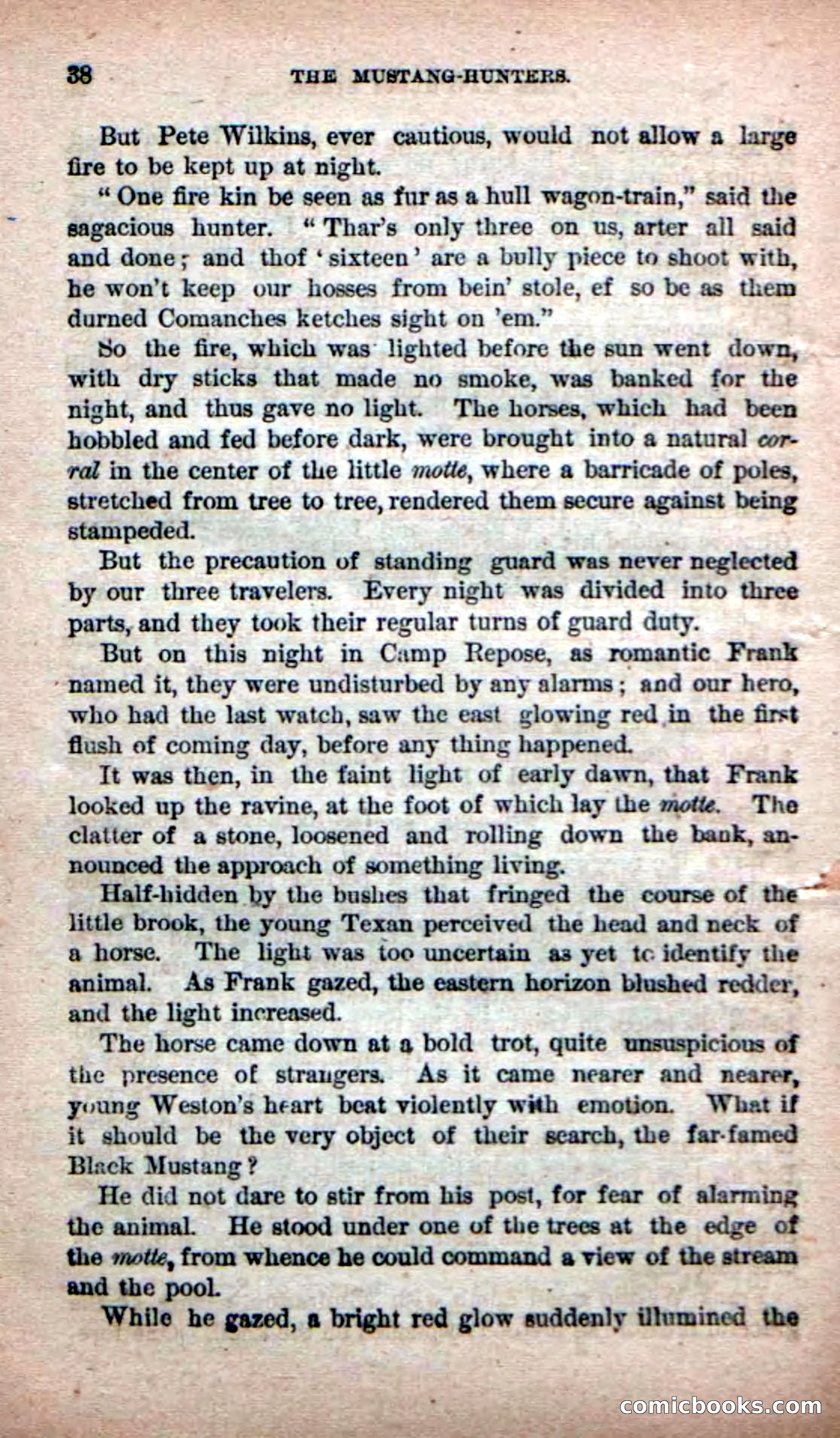 Beadle's Dime Novels No. 226: The Mustang-Hunters — page 36 of 100