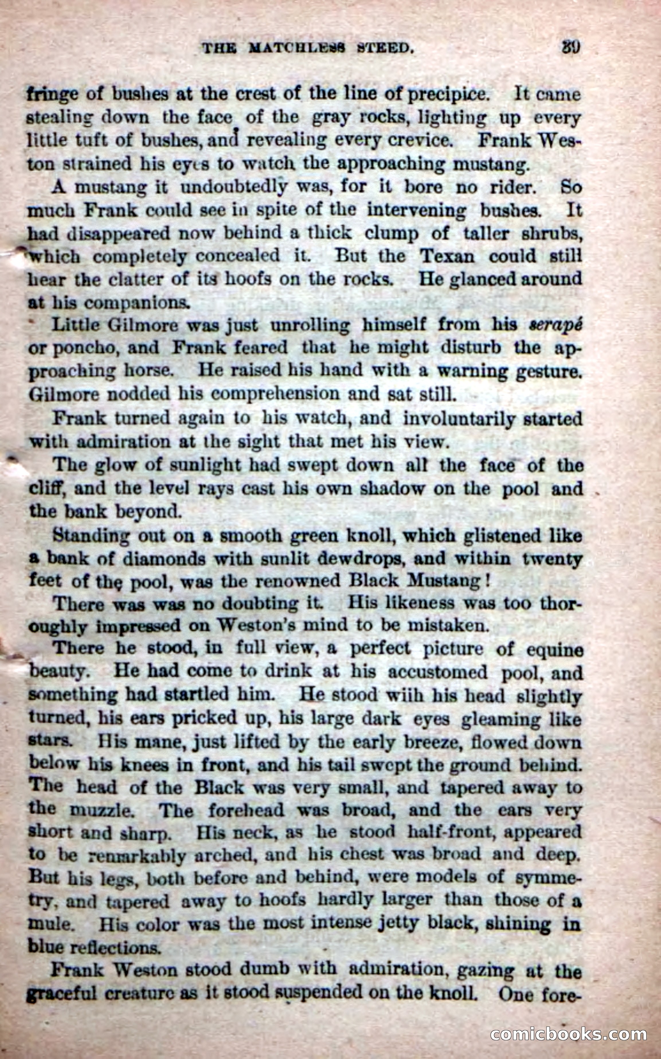 Beadle's Dime Novels No. 226: The Mustang-Hunters — page 37 of 100