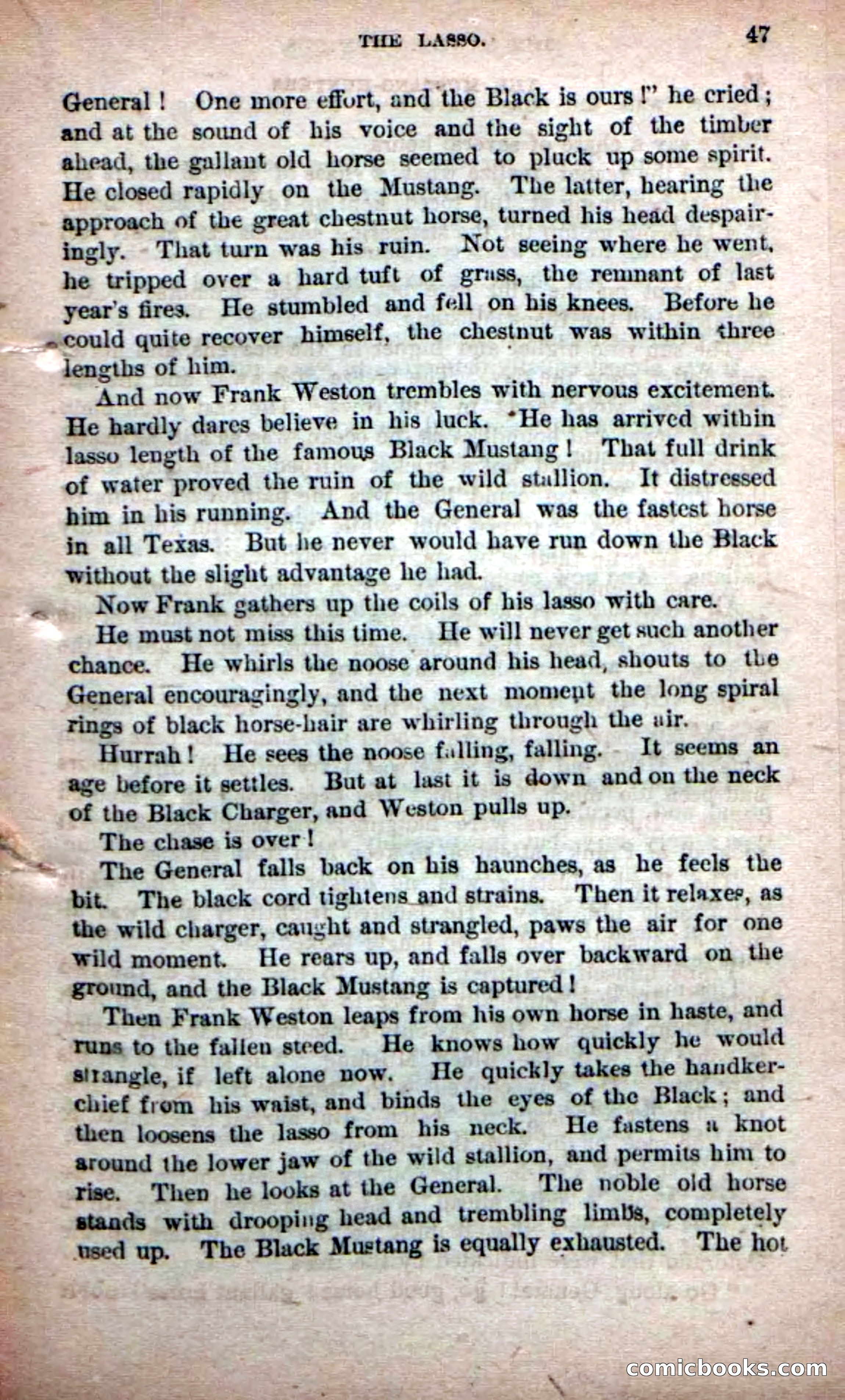 Beadle's Dime Novels No. 226: The Mustang-Hunters — page 45 of 100