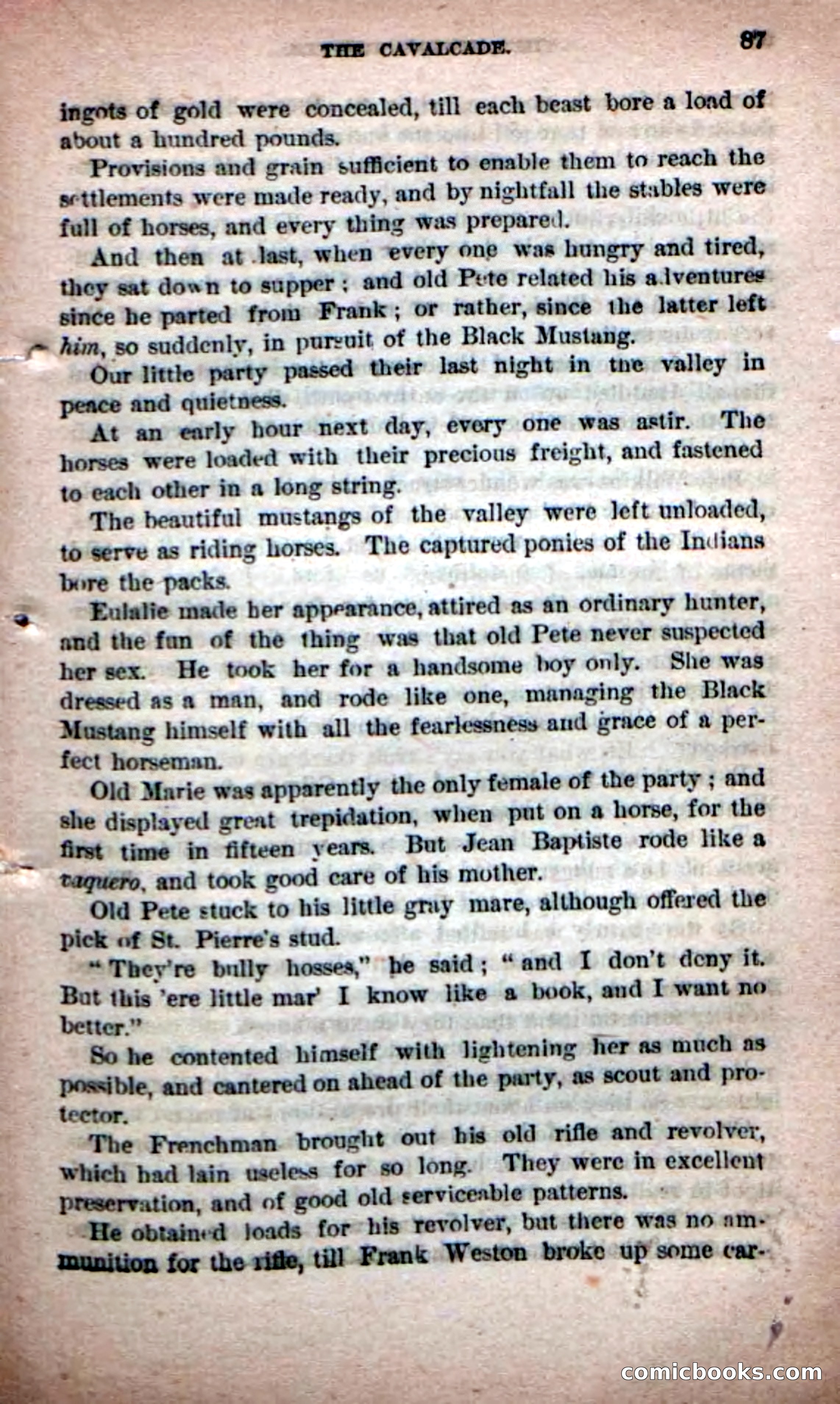 Beadle's Dime Novels No. 226: The Mustang-Hunters — page 85 of 100