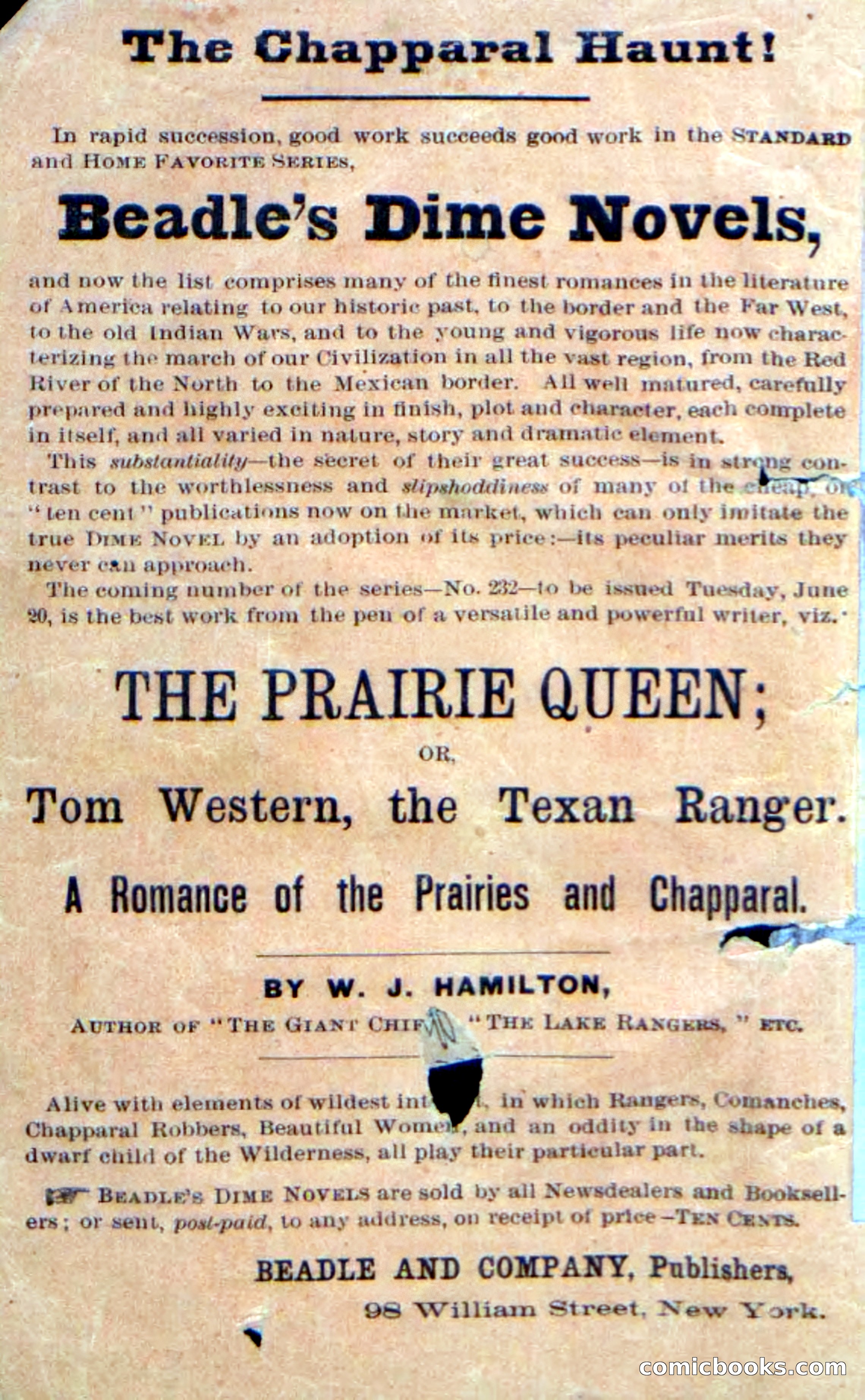 Beadle's Dime Novels No. 231: The Texan Trailer — page 2 of 54