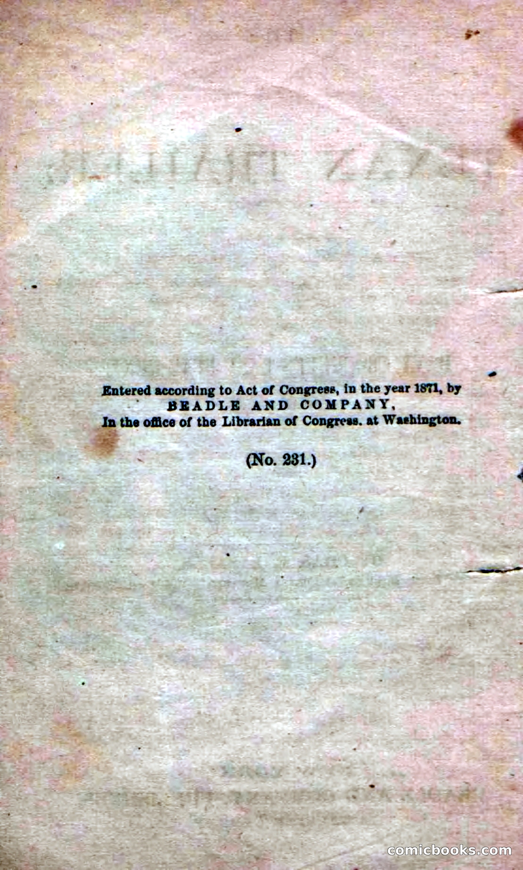 Beadle's Dime Novels No. 231: The Texan Trailer — page 6 of 54