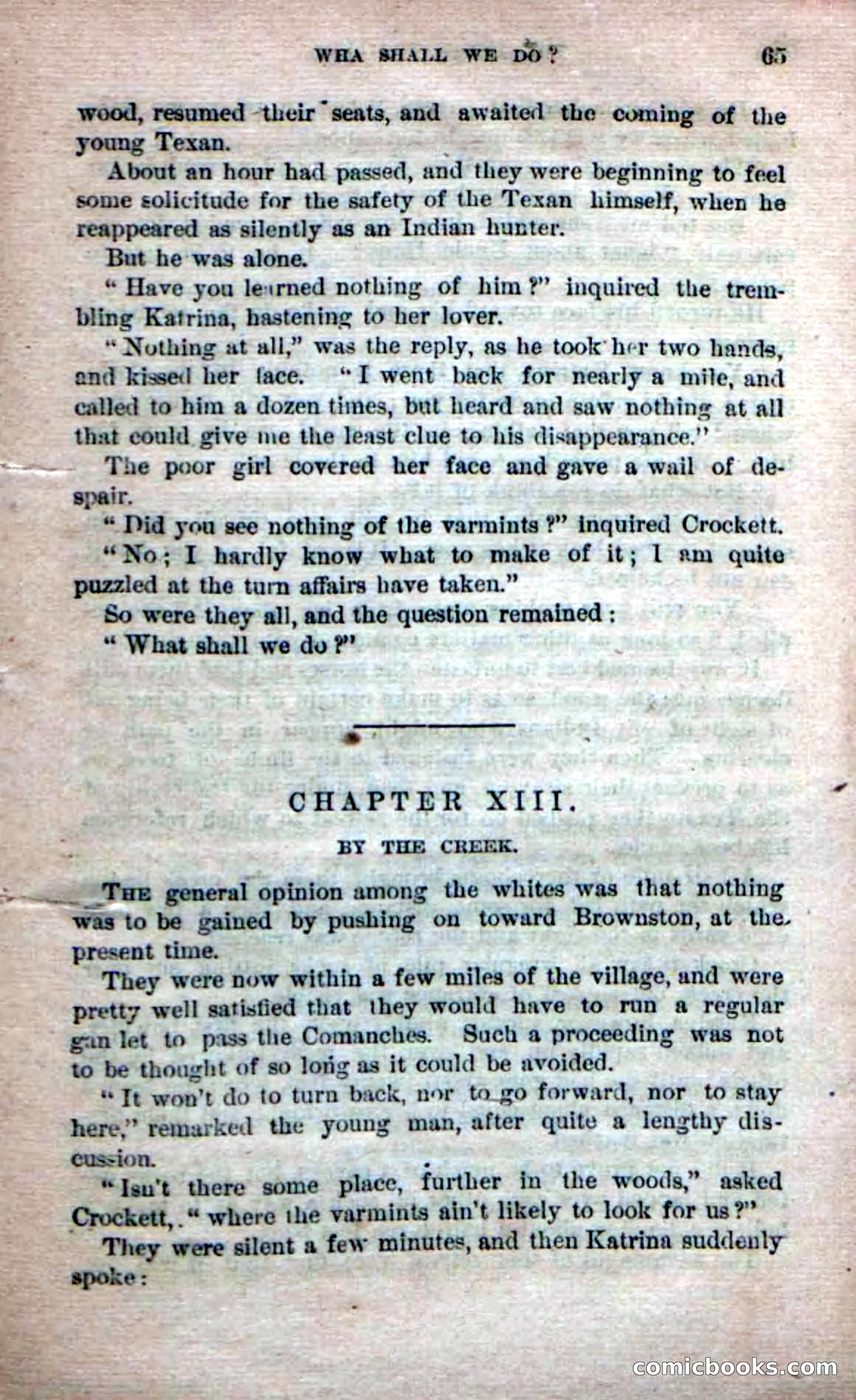 Beadle's Dime Novels No. 231: The Texan Trailer — page 35 of 54