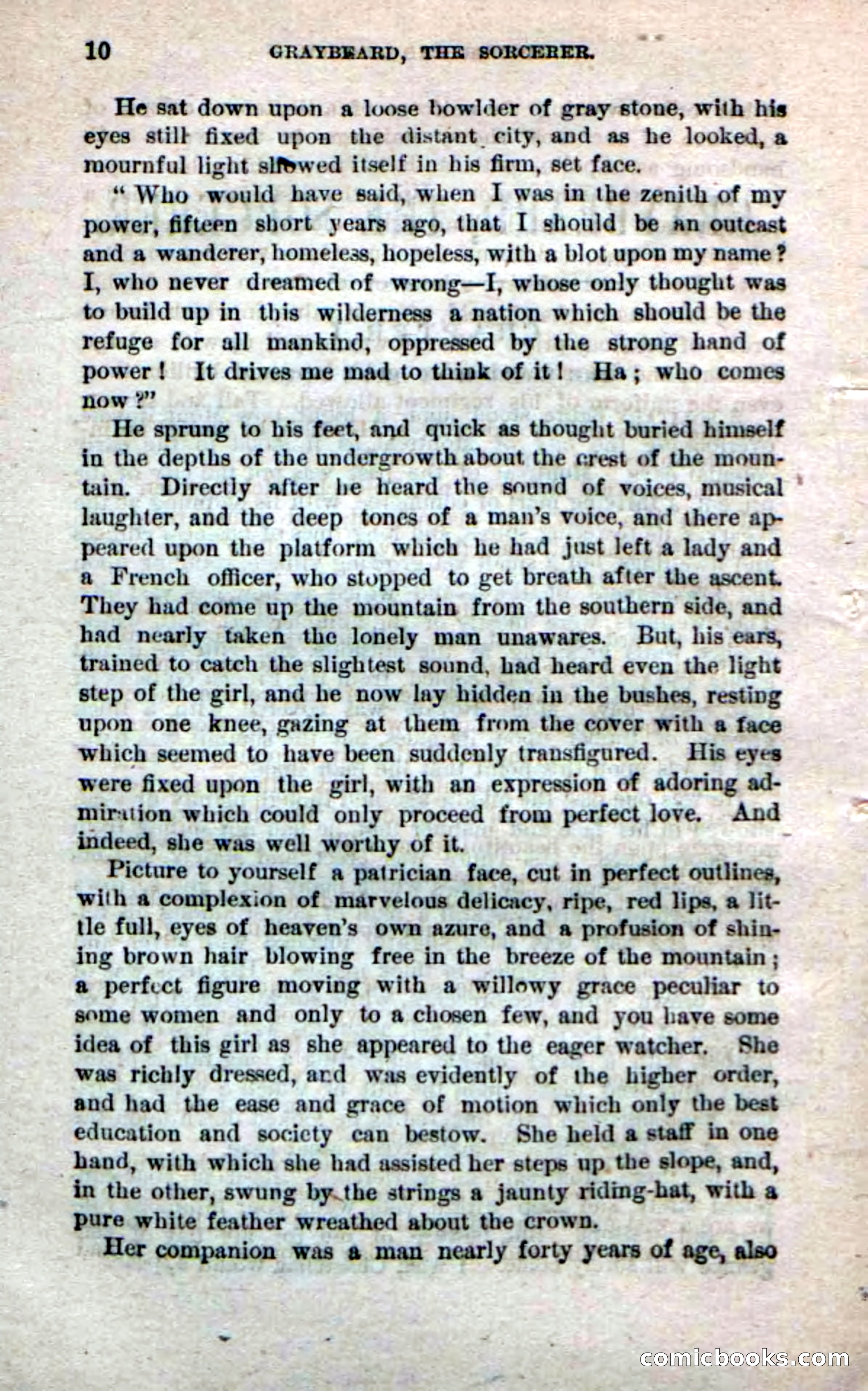 Beadle's Dime Novels No. 242 — page 8: Pulp Fiction, 1871
