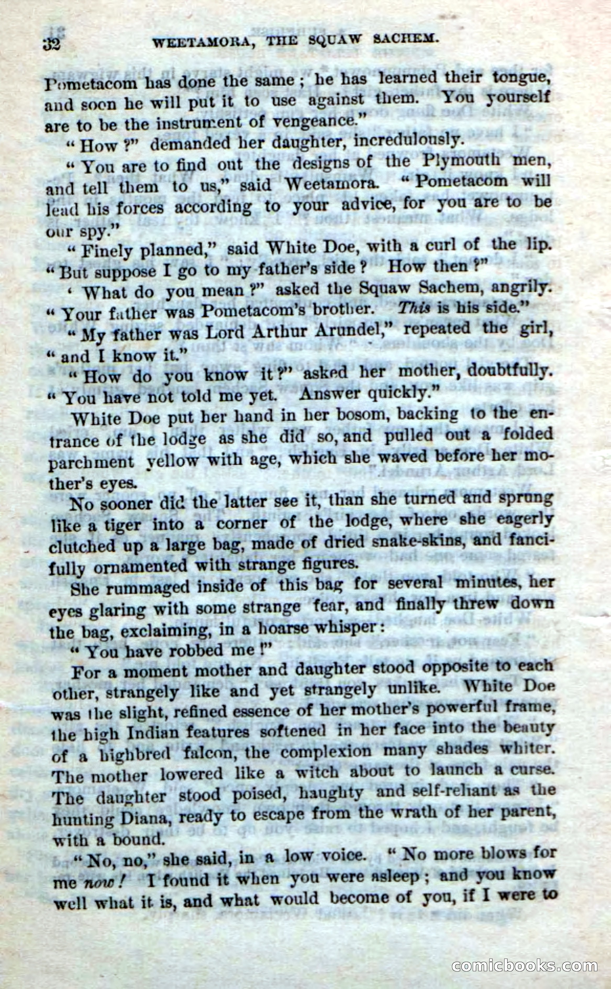 Beadle's Dime Novels No. 249: The Squaw Sachem — page 28: Pulp Fiction, 1872