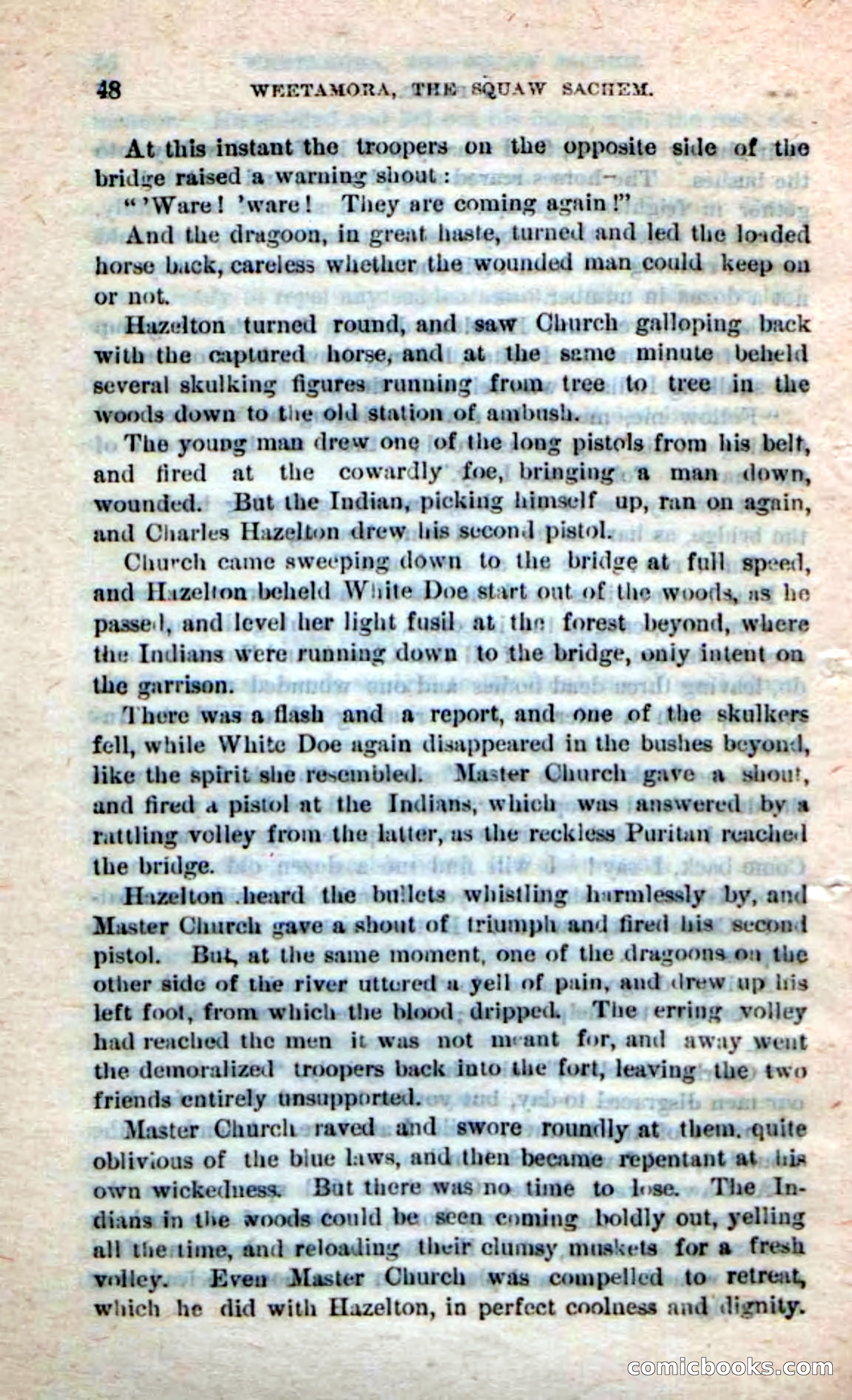 Beadle's Dime Novels No. 249: The Squaw Sachem — page 44: Pulp Fiction, 1872