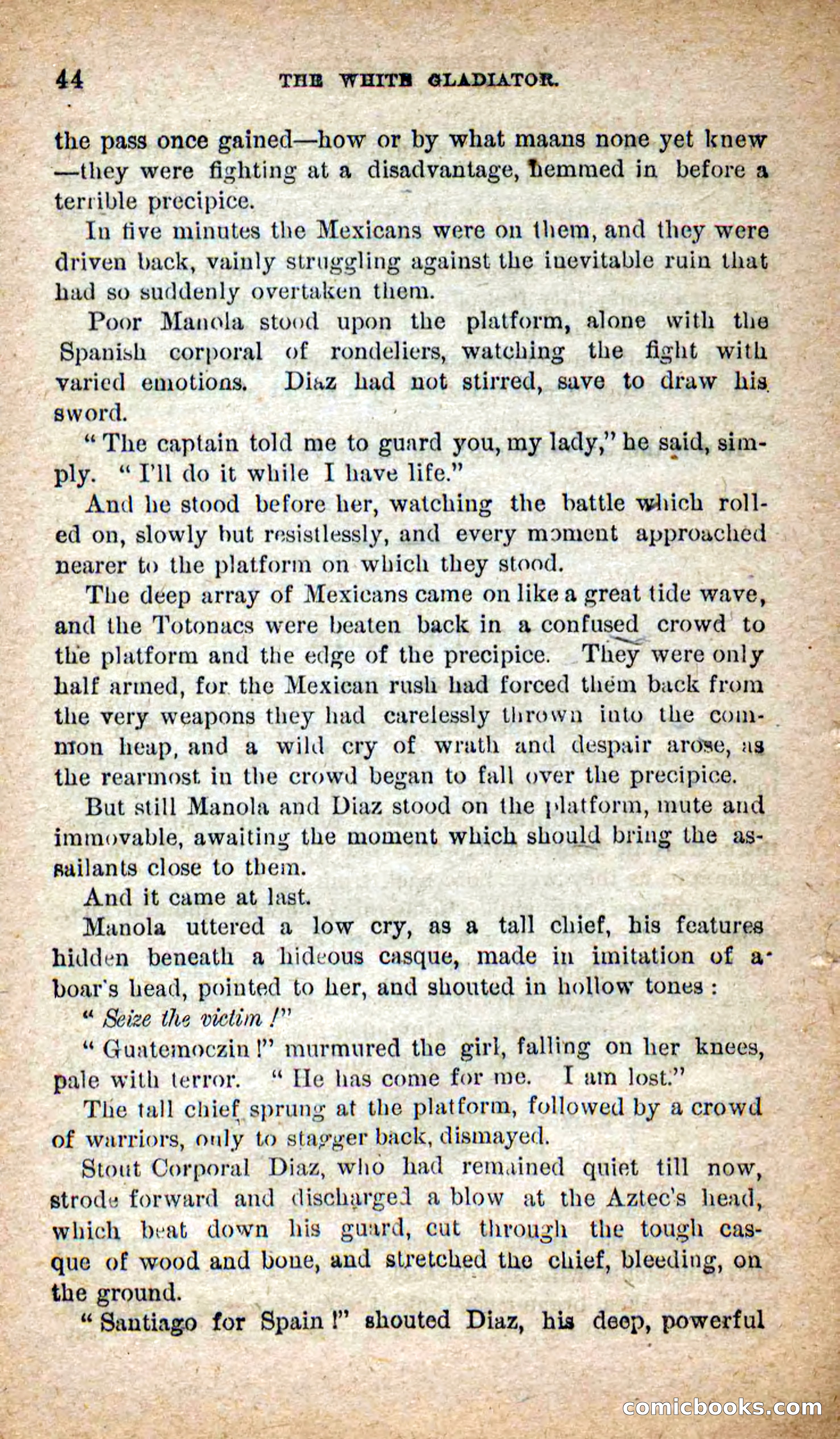 Beadle's Dime Novels No. 253: The White Gladiator — page 40: Pulp Fiction, 1872
