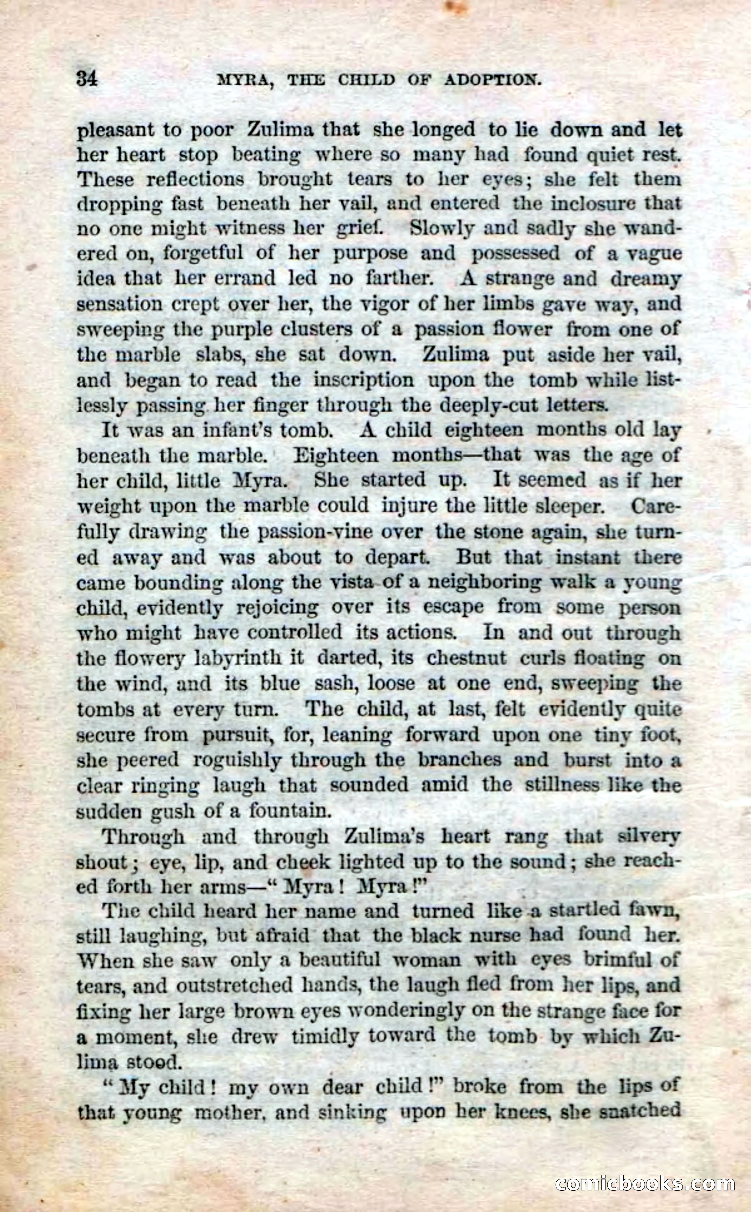 Beadle's Dime Novels No. 3: Myra, the Child of Adoption — page 36 of 130