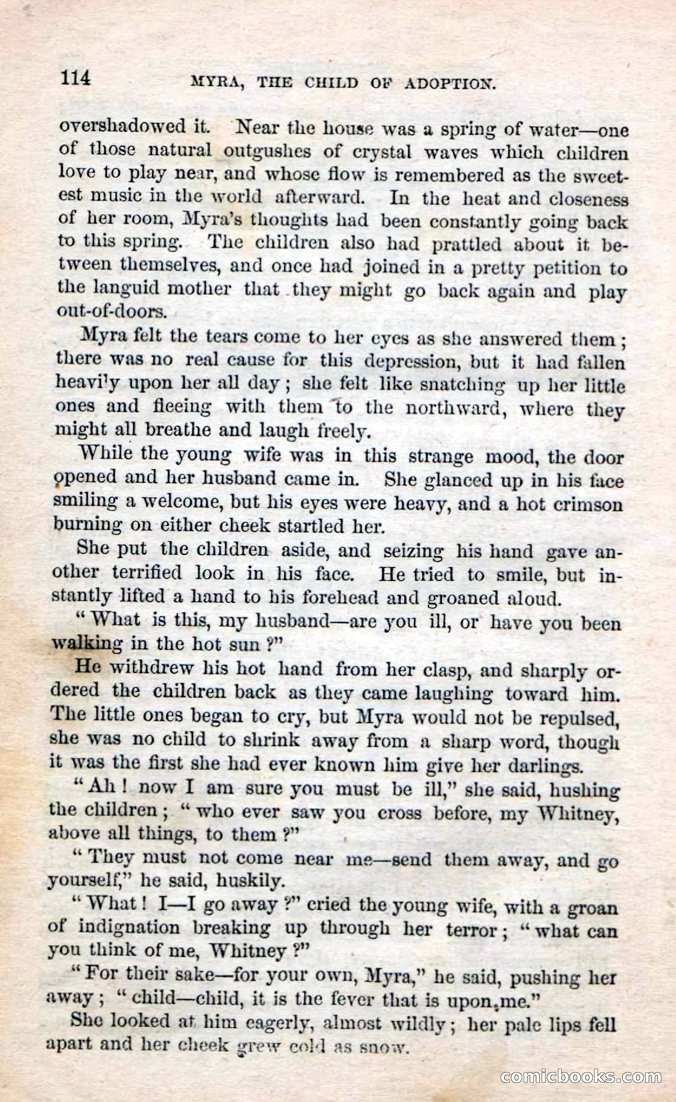Beadle's Dime Novels No. 3: Myra, the Child of Adoption — page 116 of 130