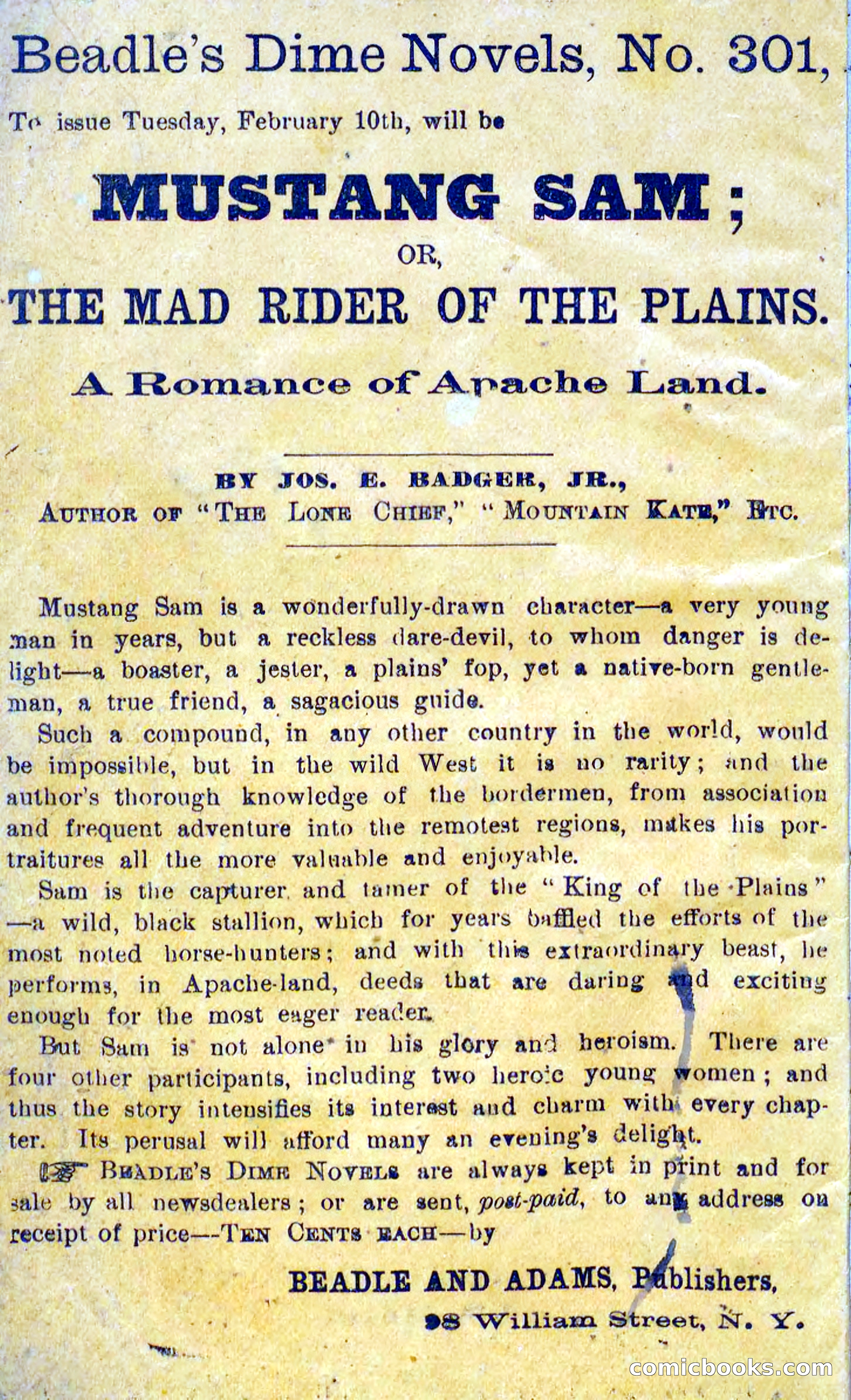 Beadle's Dime Novels No. 300: The Crested Serpent — page 2 of 100
