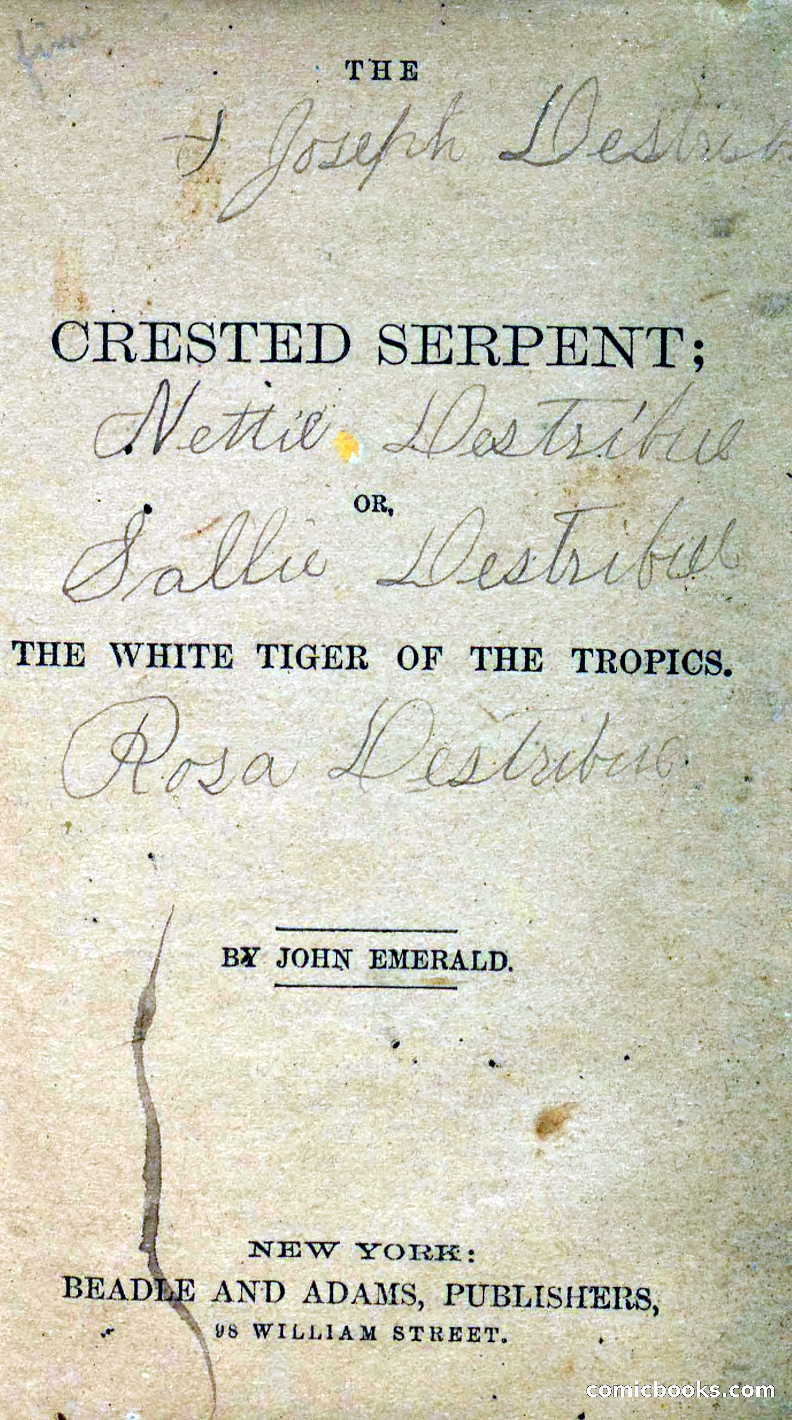 Beadle's Dime Novels No. 300: The Crested Serpent — page 3 of 100