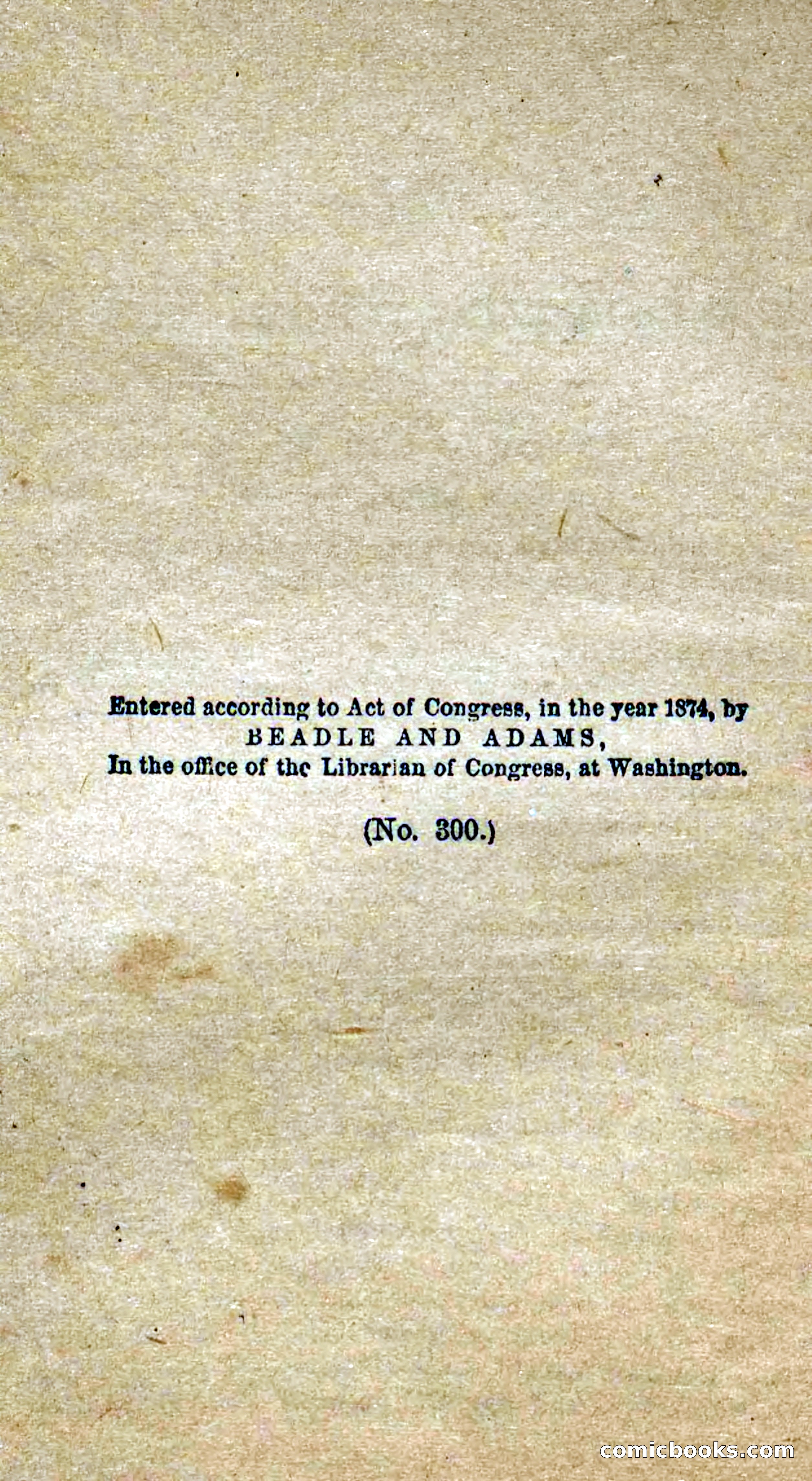 Beadle's Dime Novels No. 300: The Crested Serpent — page 4 of 100