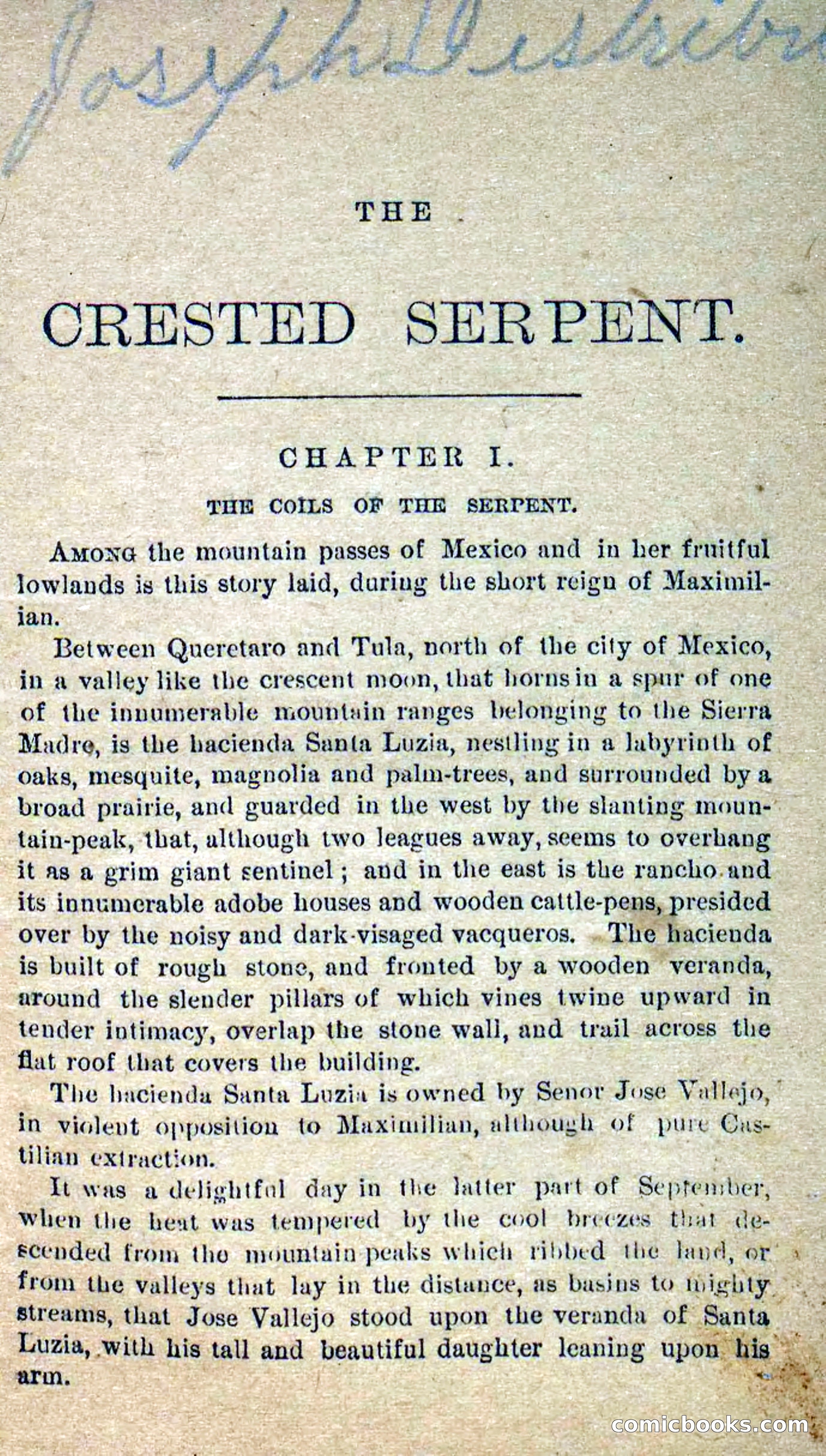 Beadle's Dime Novels No. 300: The Crested Serpent — page 5 of 100