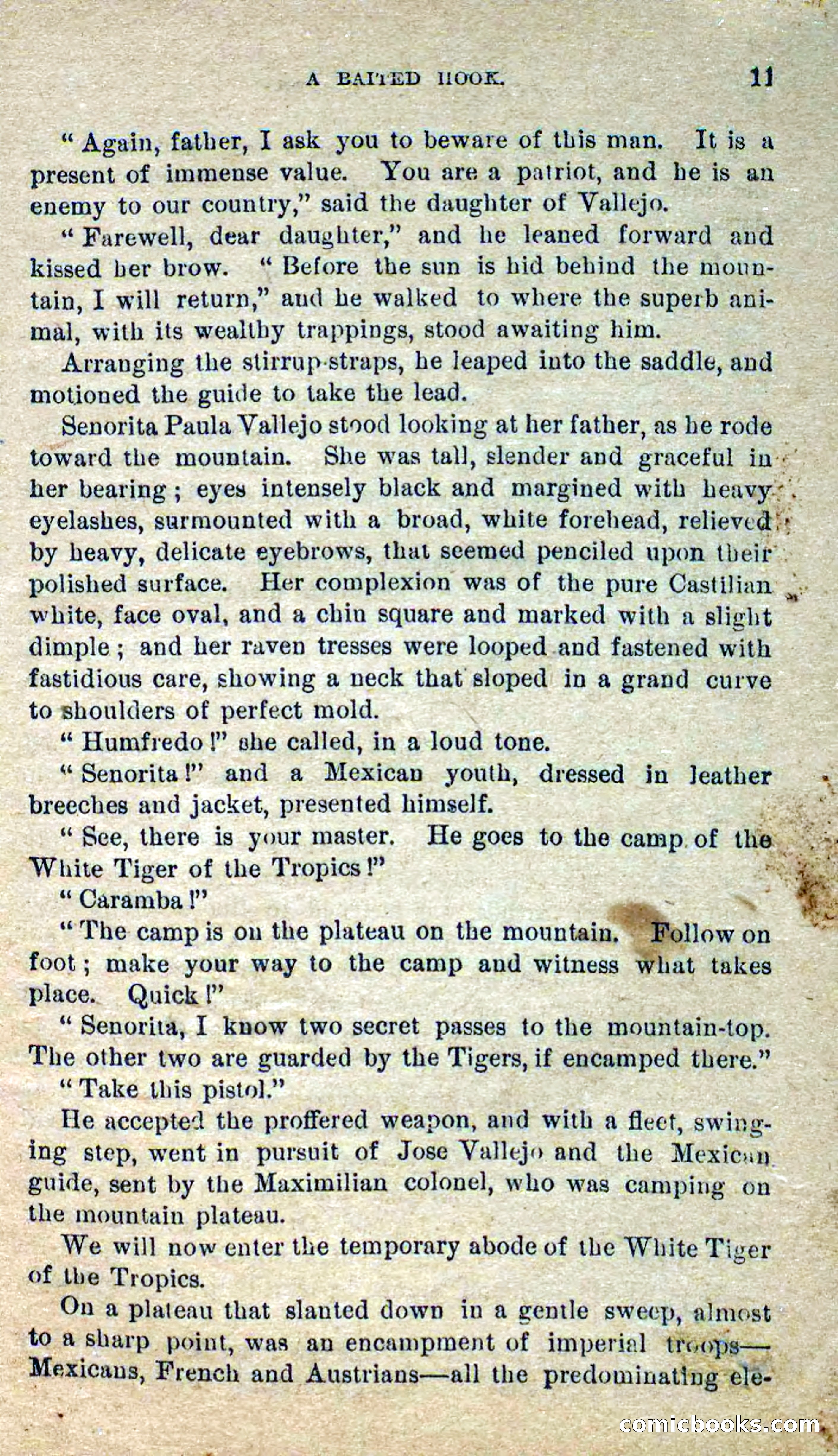 Beadle's Dime Novels No. 300: The Crested Serpent — page 7 of 100