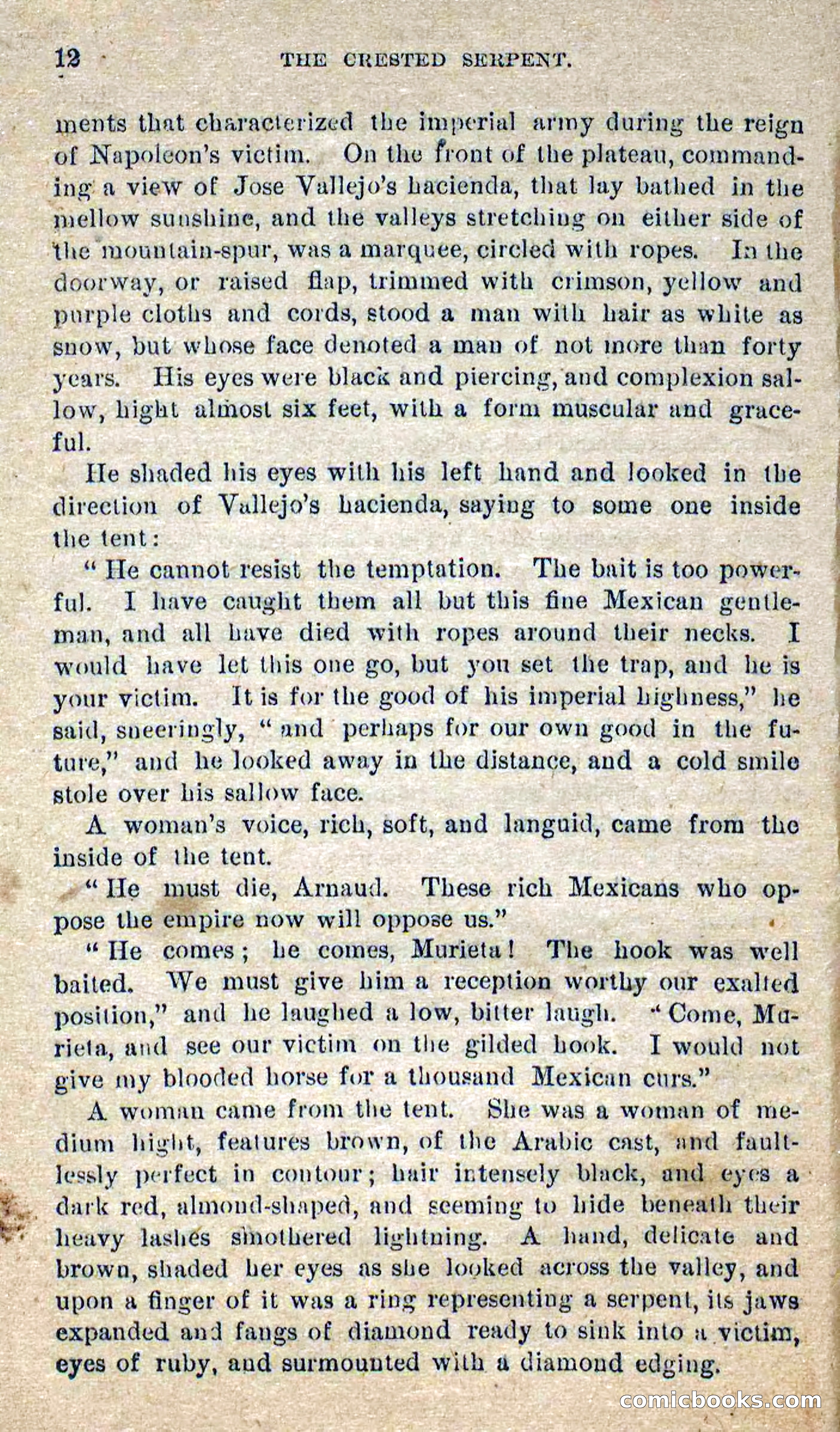 Beadle's Dime Novels No. 300: The Crested Serpent — page 8 of 100