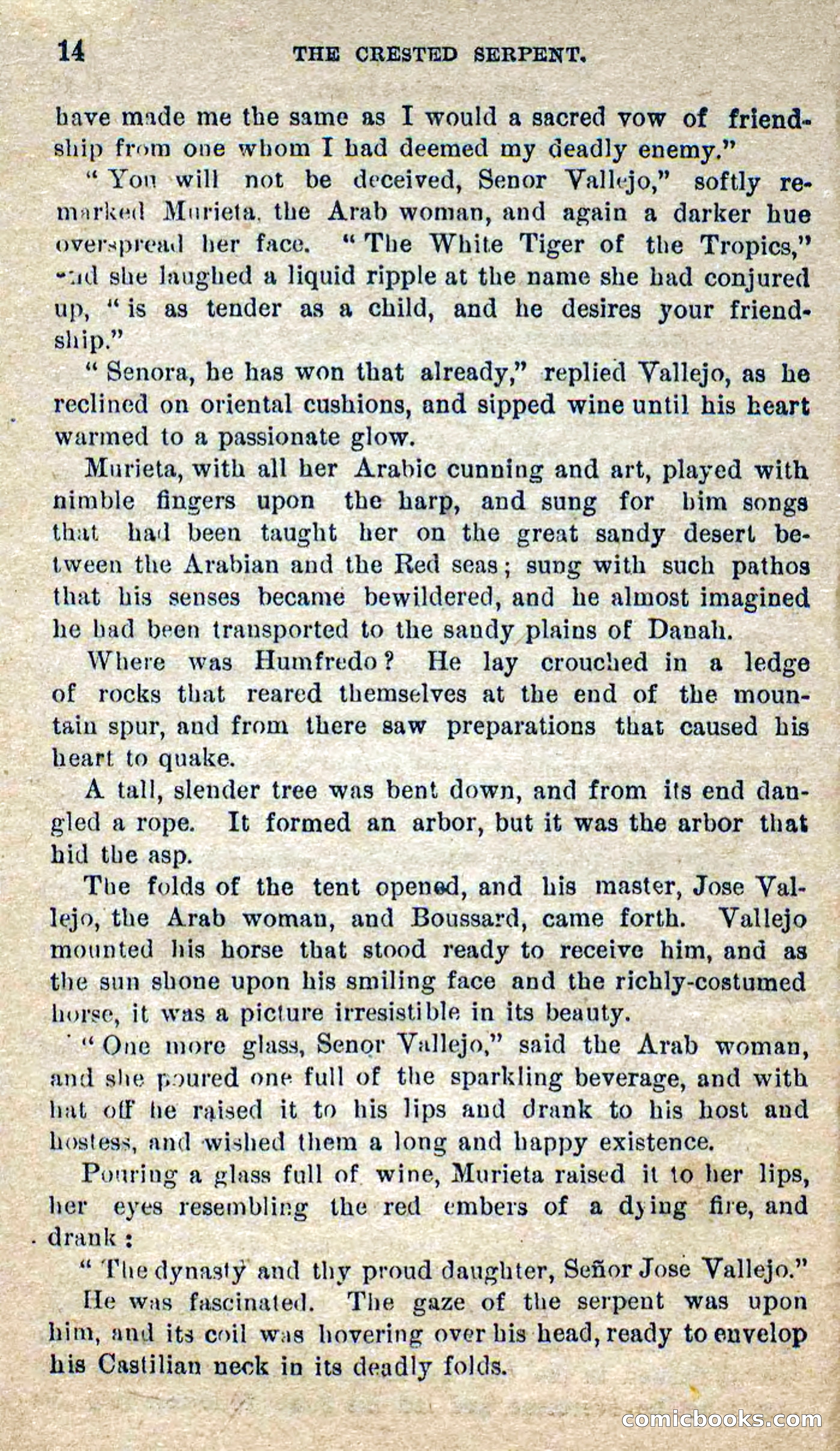Beadle's Dime Novels No. 300: The Crested Serpent — page 10 of 100