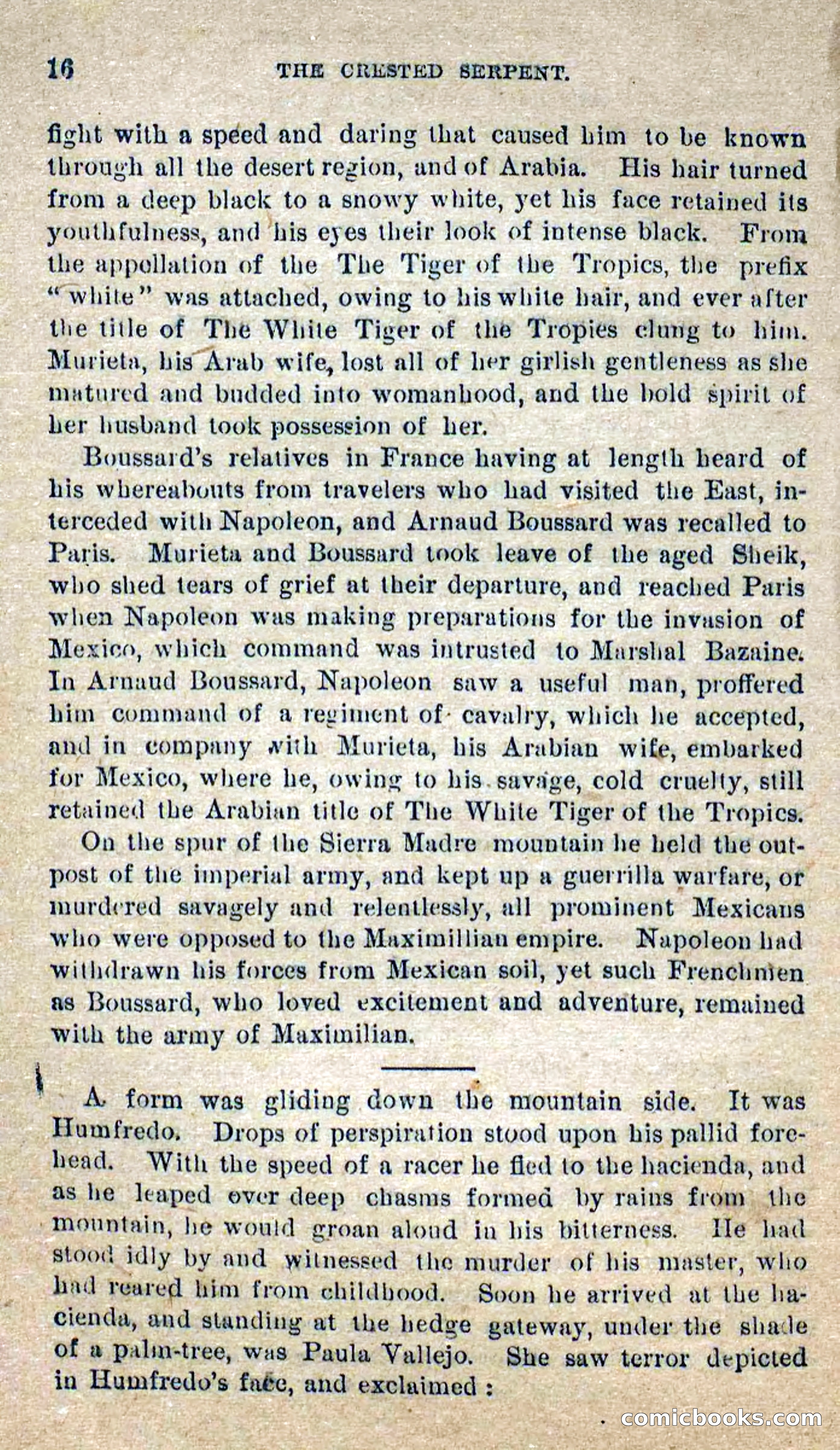 Beadle's Dime Novels No. 300: The Crested Serpent — page 12 of 100
