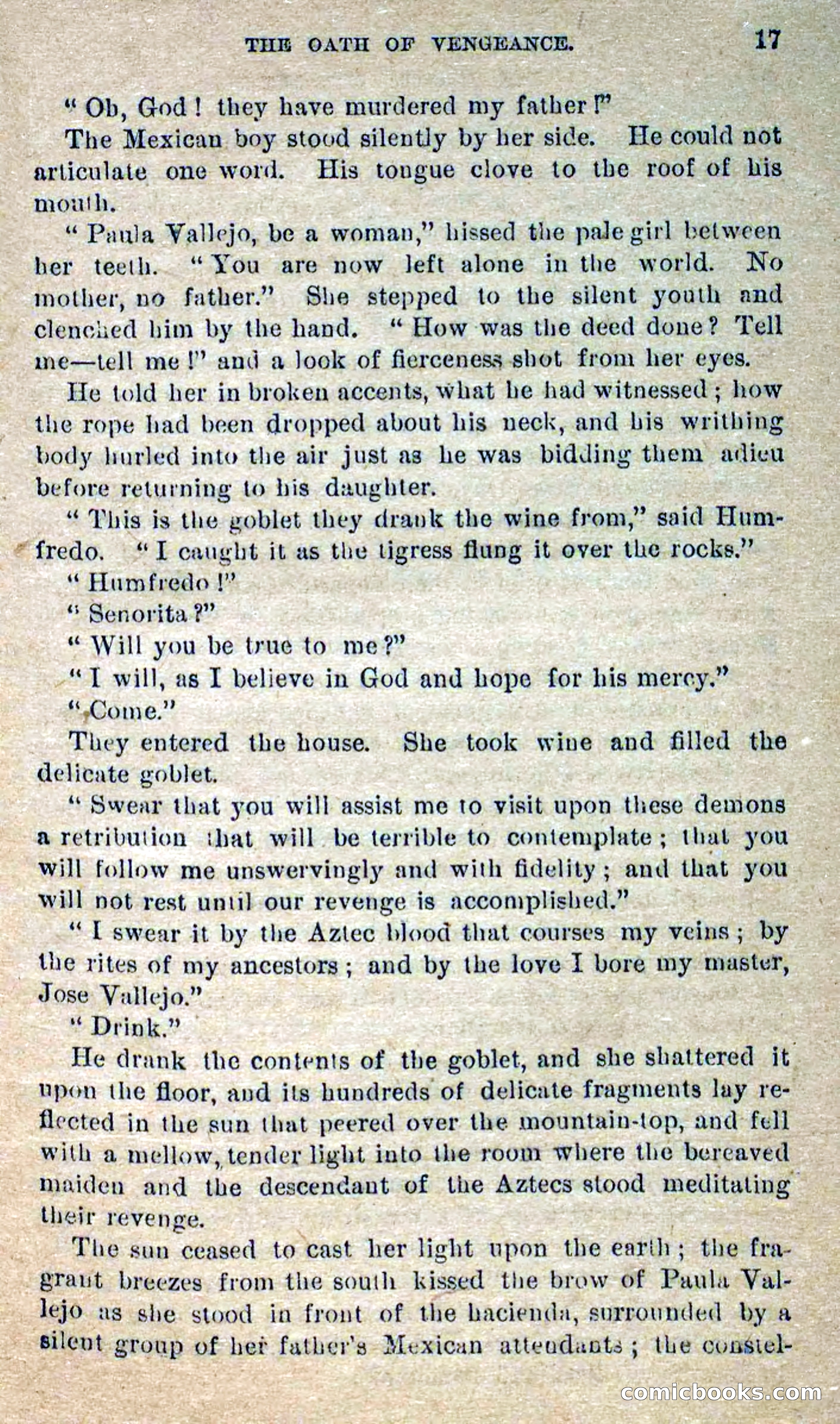 Beadle's Dime Novels No. 300: The Crested Serpent — page 13 of 100