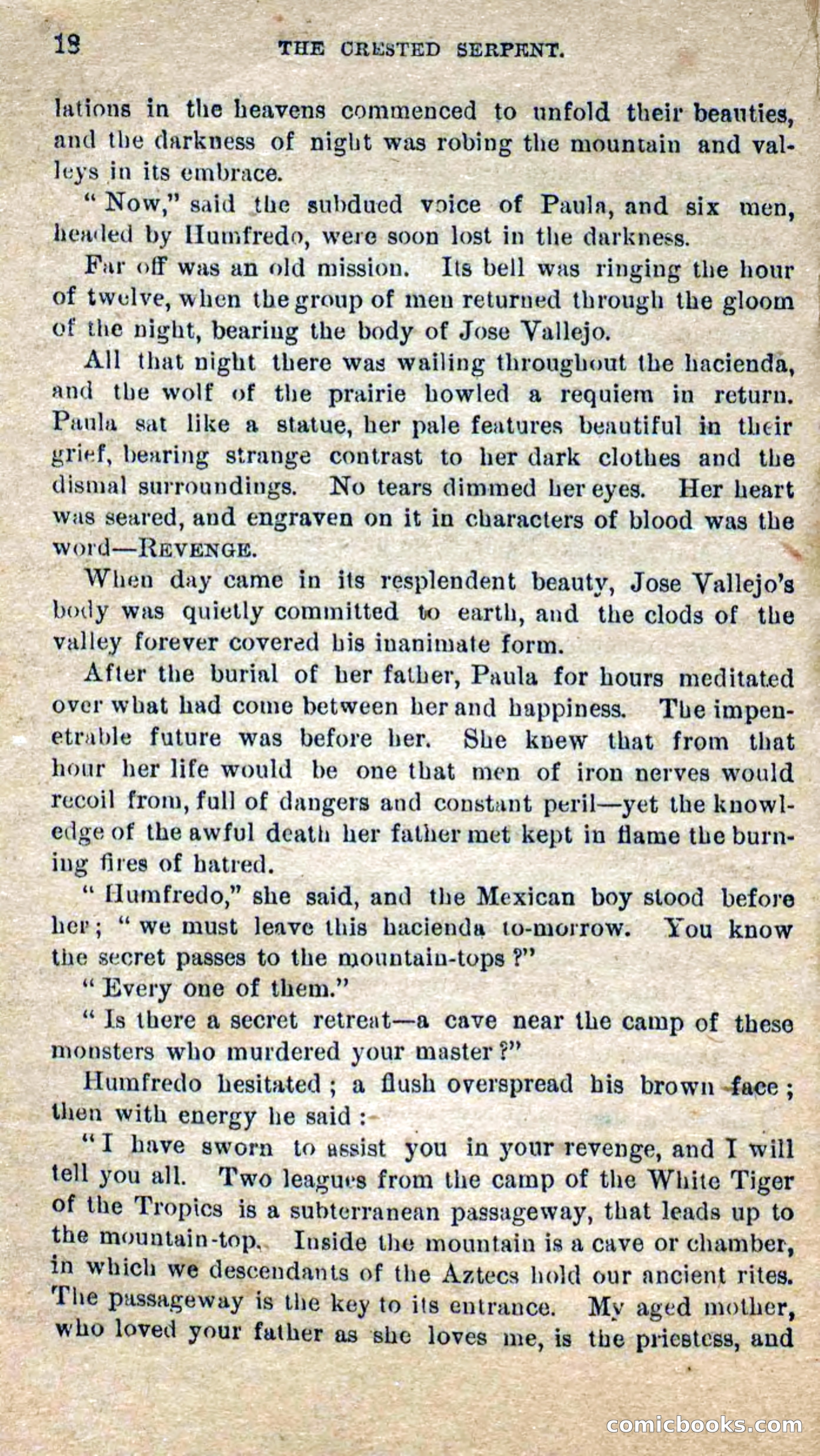 Beadle's Dime Novels No. 300: The Crested Serpent — page 14 of 100