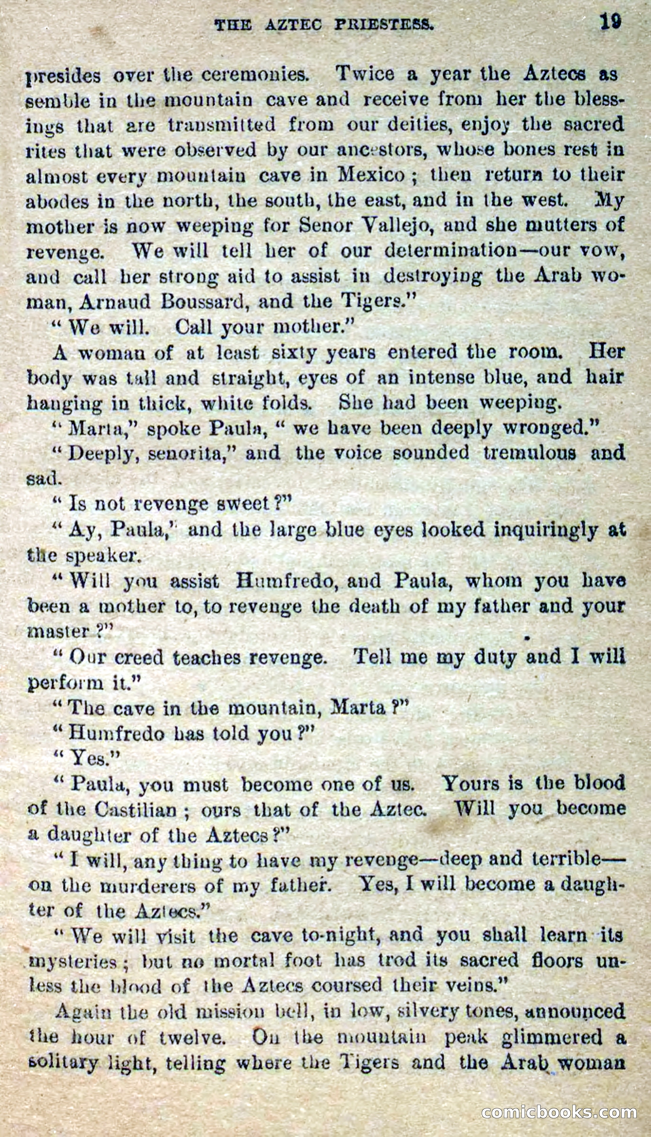 Beadle's Dime Novels No. 300: The Crested Serpent — page 15 of 100