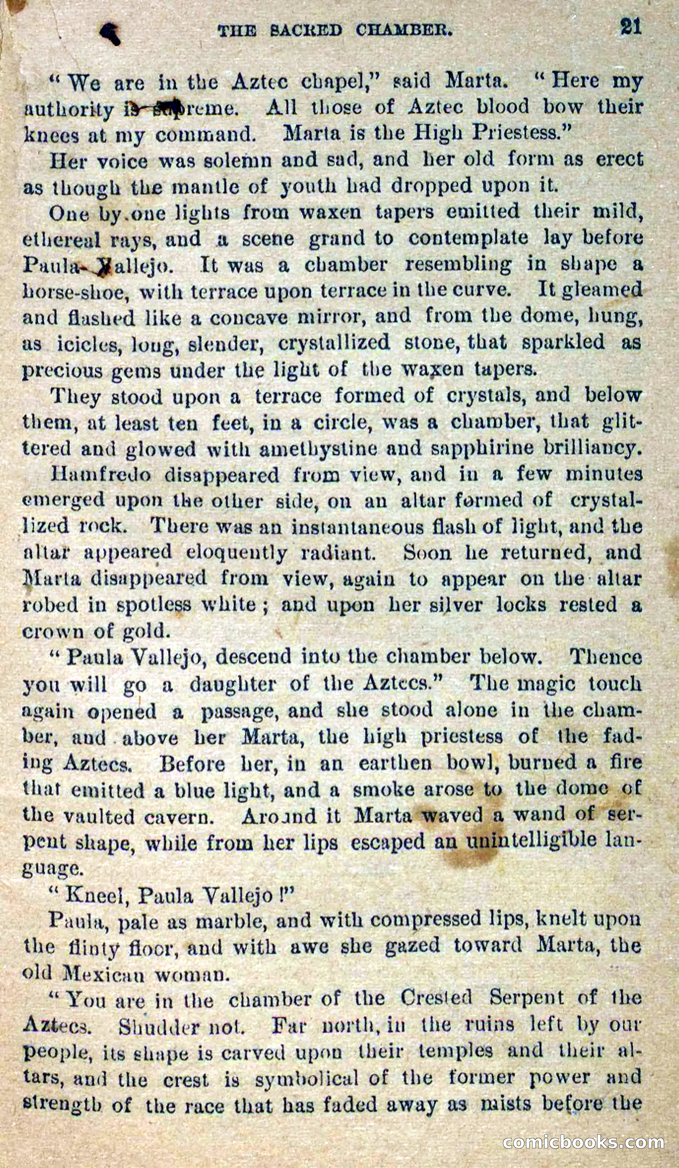 Beadle's Dime Novels No. 300: The Crested Serpent — page 17 of 100