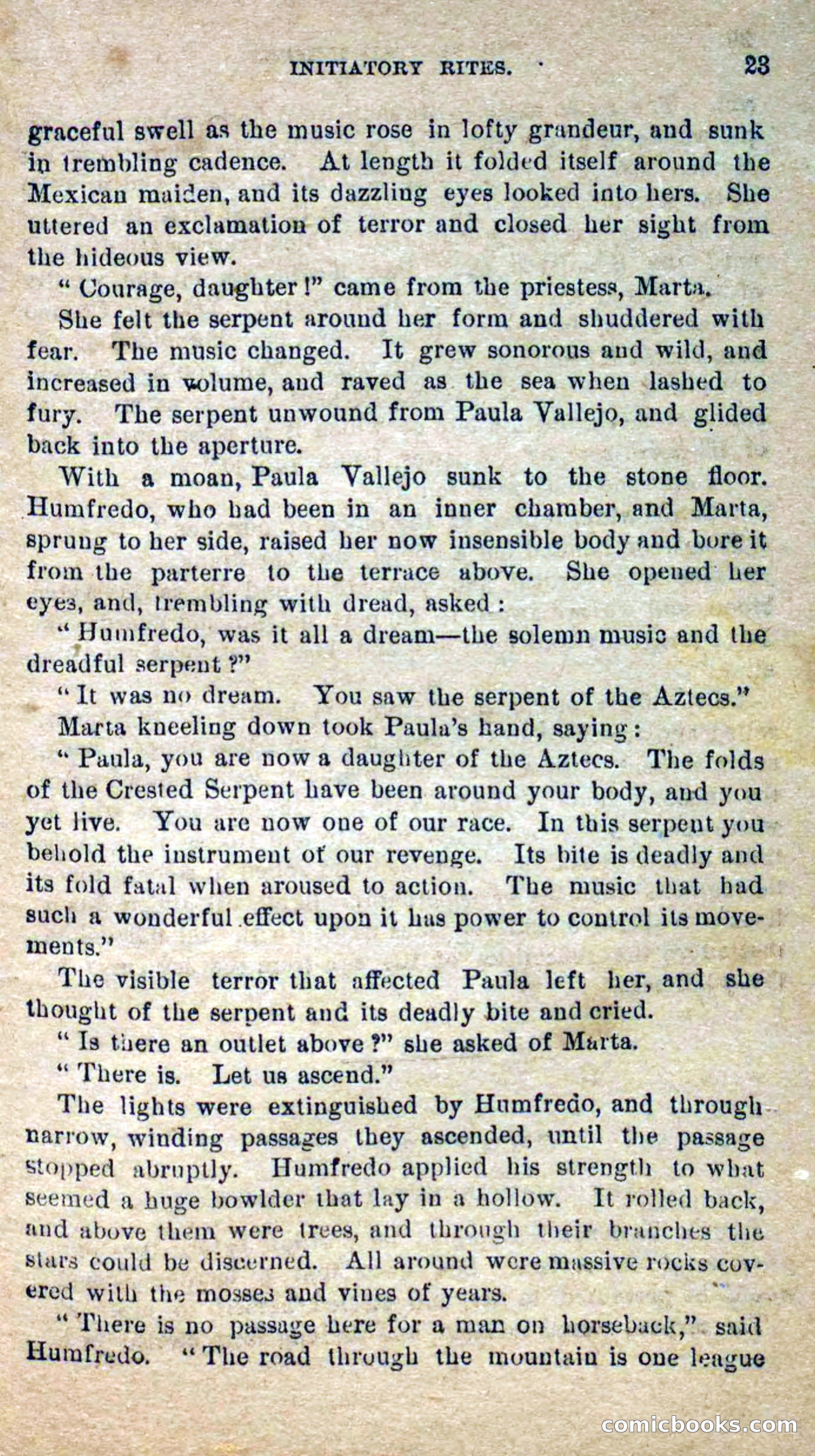 Beadle's Dime Novels No. 300: The Crested Serpent — page 19 of 100