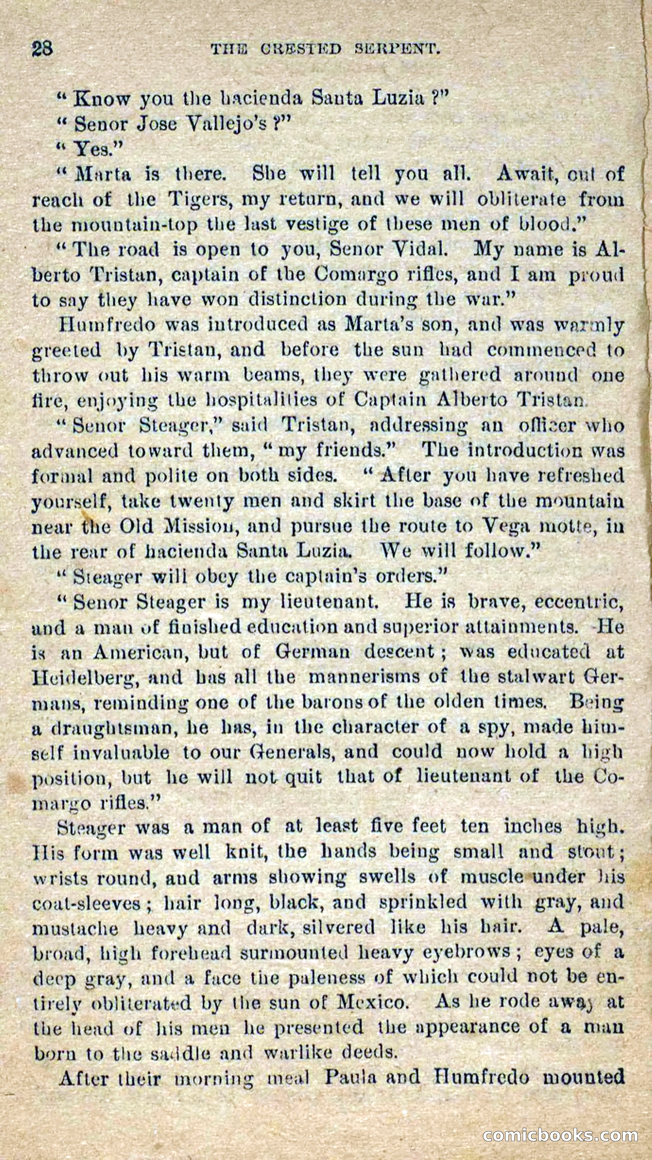 Beadle's Dime Novels No. 300: The Crested Serpent — page 24 of 100