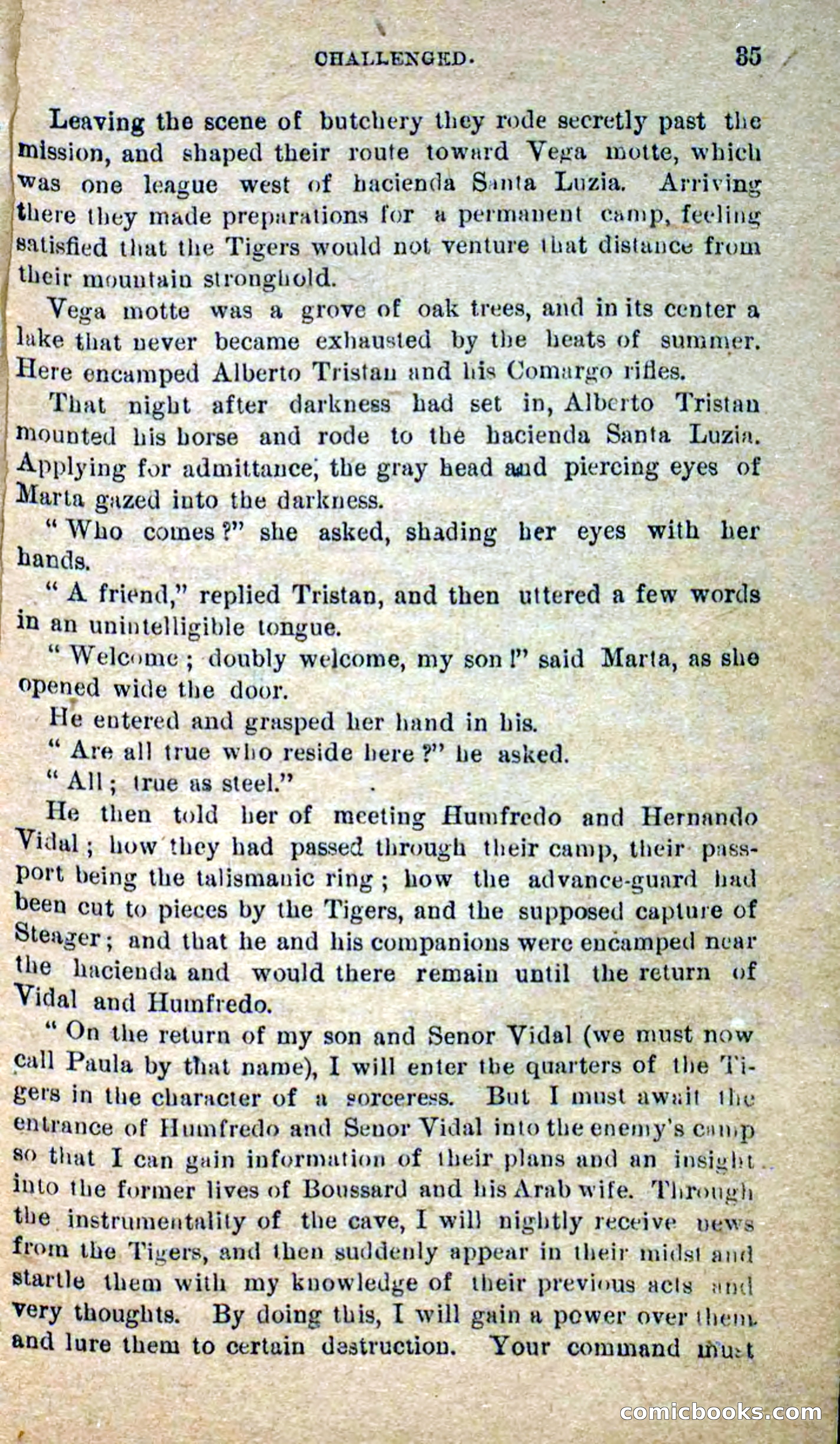 Beadle's Dime Novels No. 300: The Crested Serpent — page 31 of 100